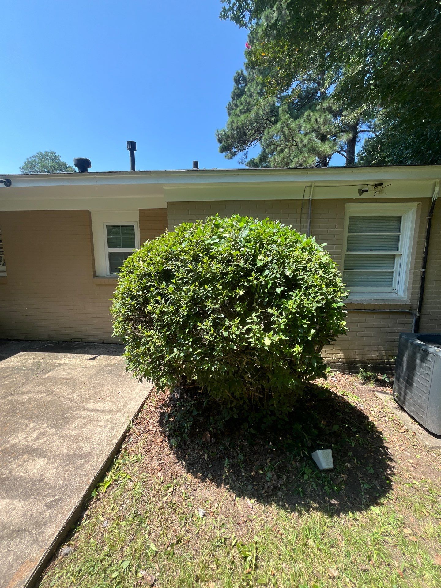 Yard Makeover by College Bros Outdoor services