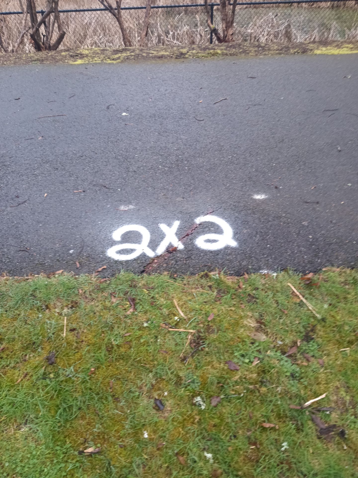 Asphalt Patch Repair | Auburn  by Jireh Asphalt & Concrete Inc 