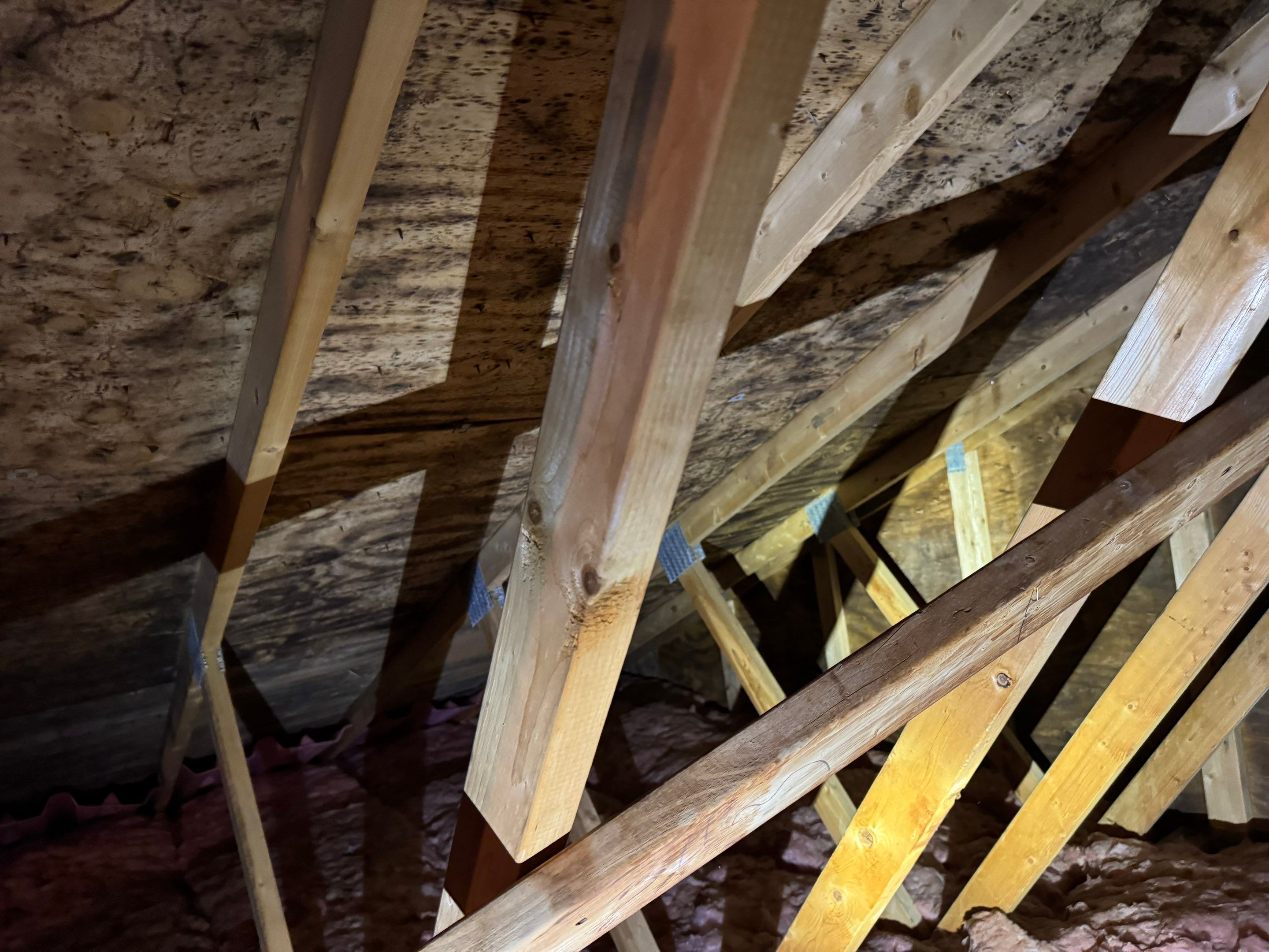 Attic Mold Remediation by Home Guarantee, LLC