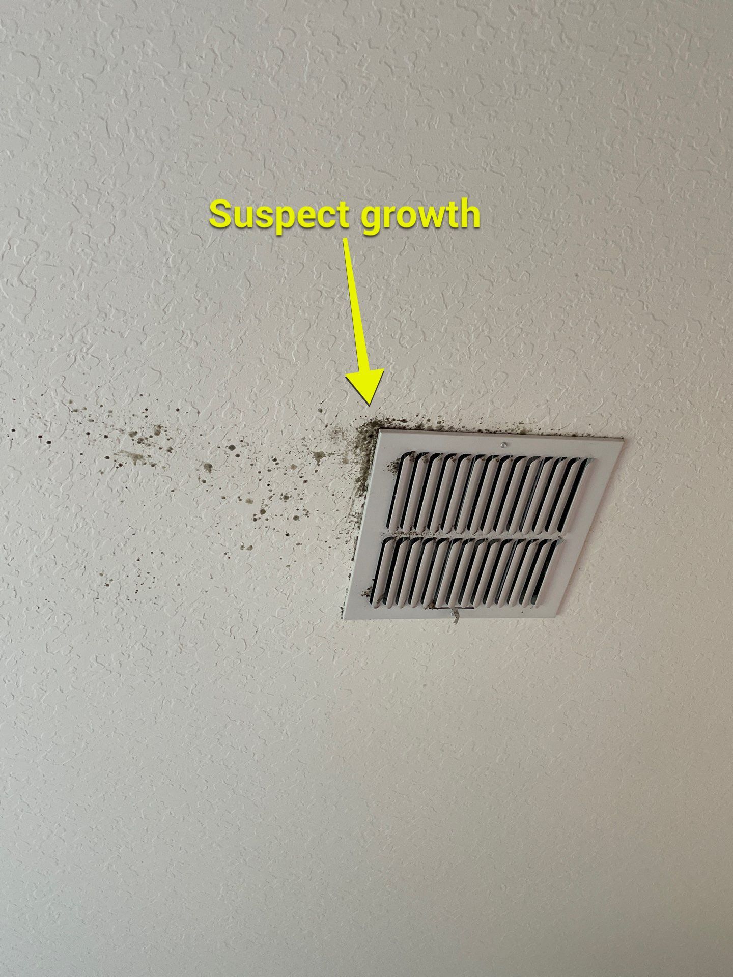 Air Duct Cleaning in Leesburg by Hygienic Air, Inc
