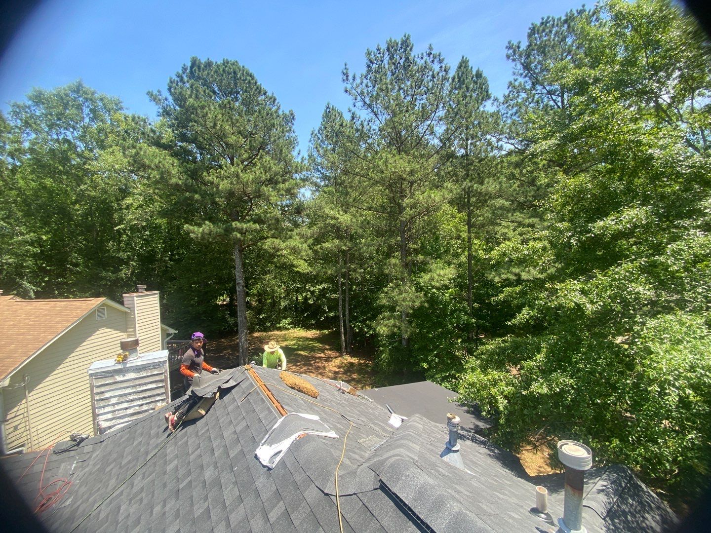 Rotten Wood by Roof Bullies