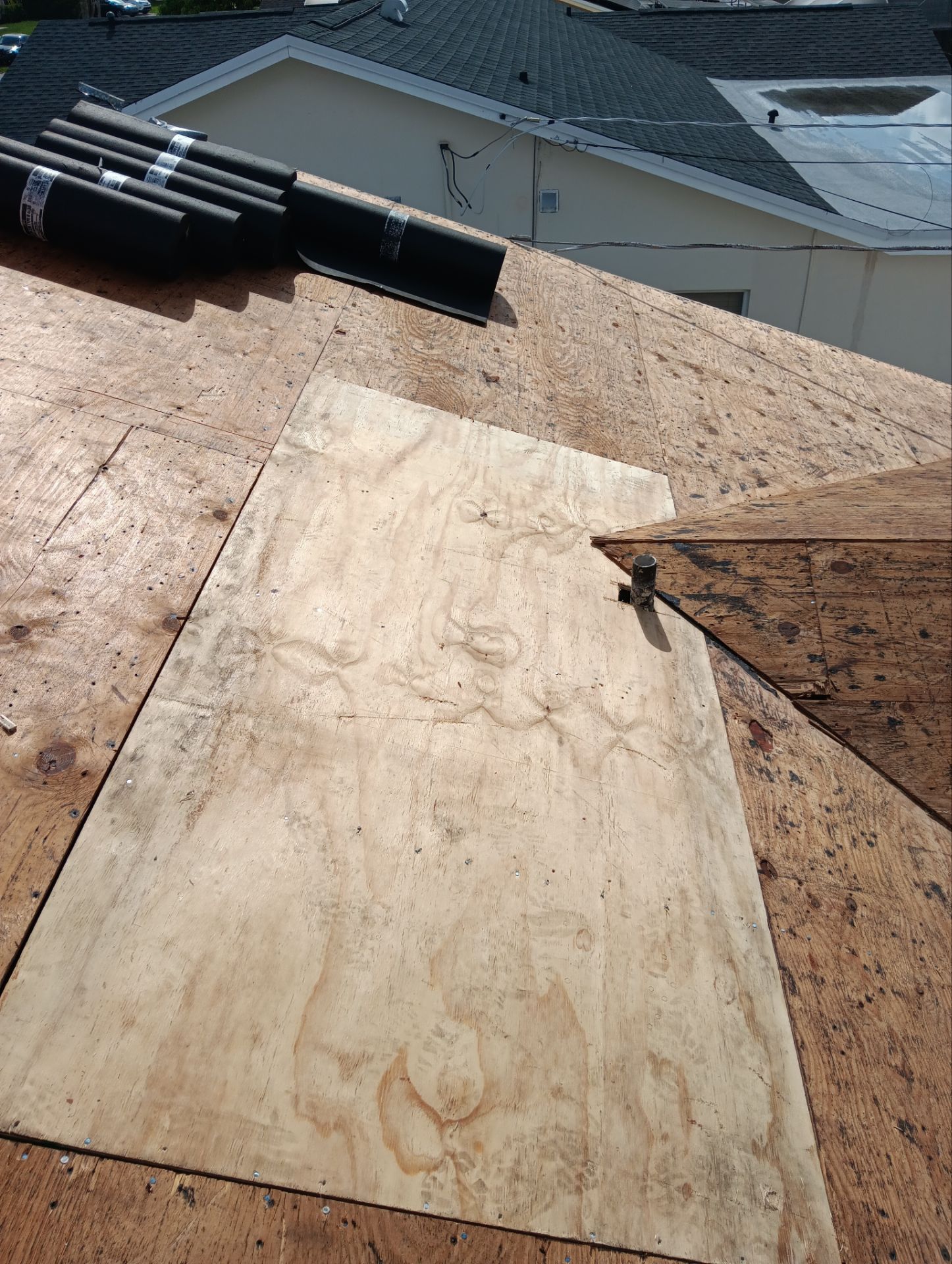Shingles Roof in Boca Raton by Roofing Recovery