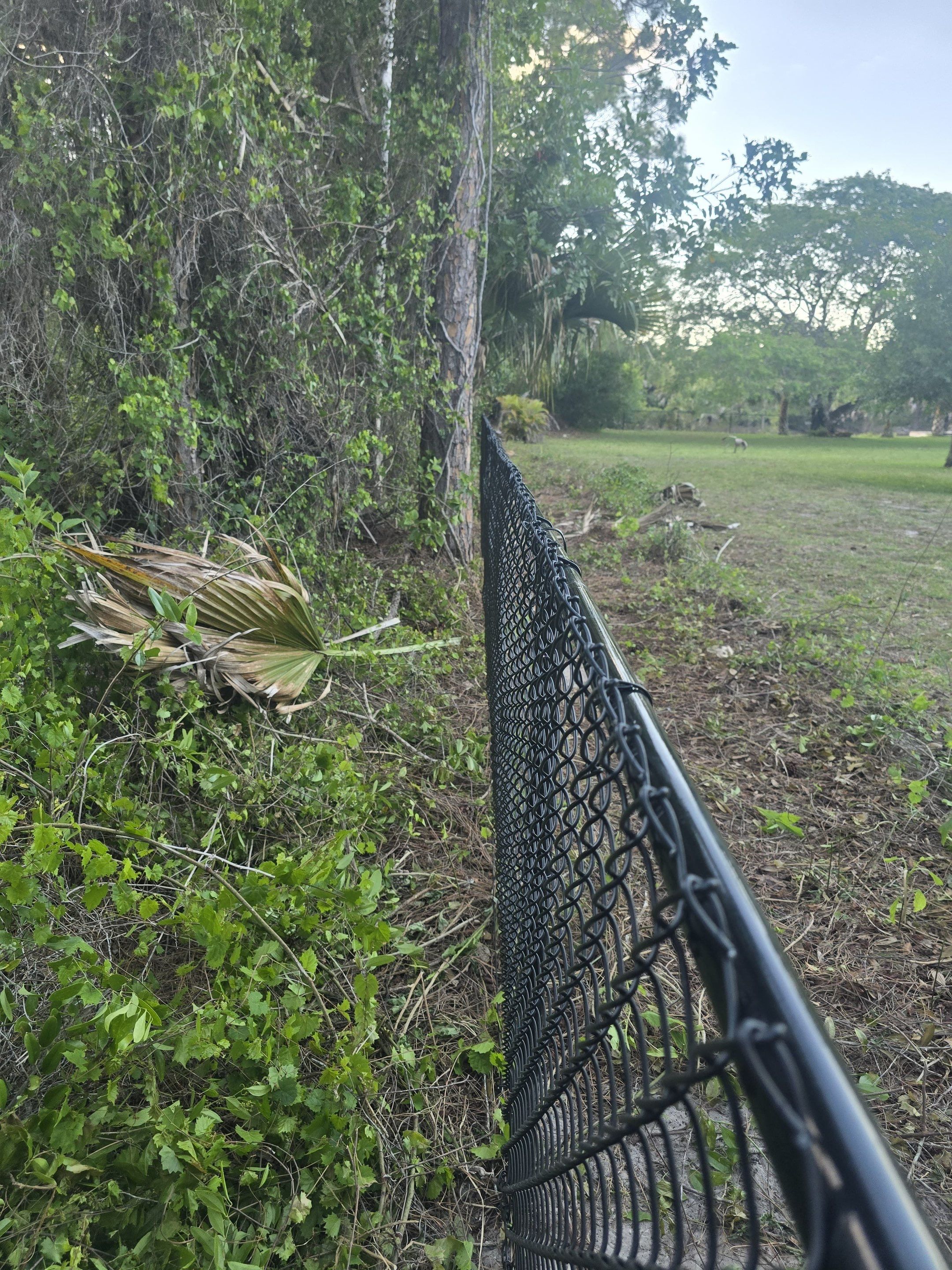 Chain Link Fence in Naples by True Fence LLC