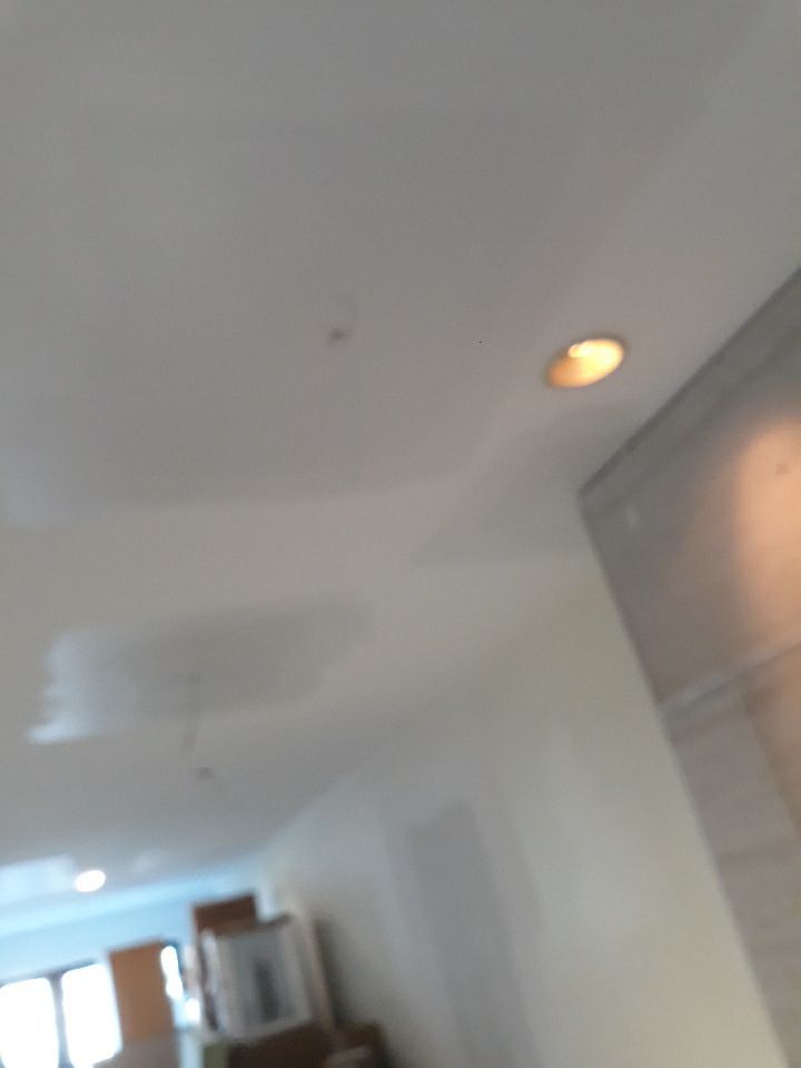 Home Renovation - Bucktown by Punch List