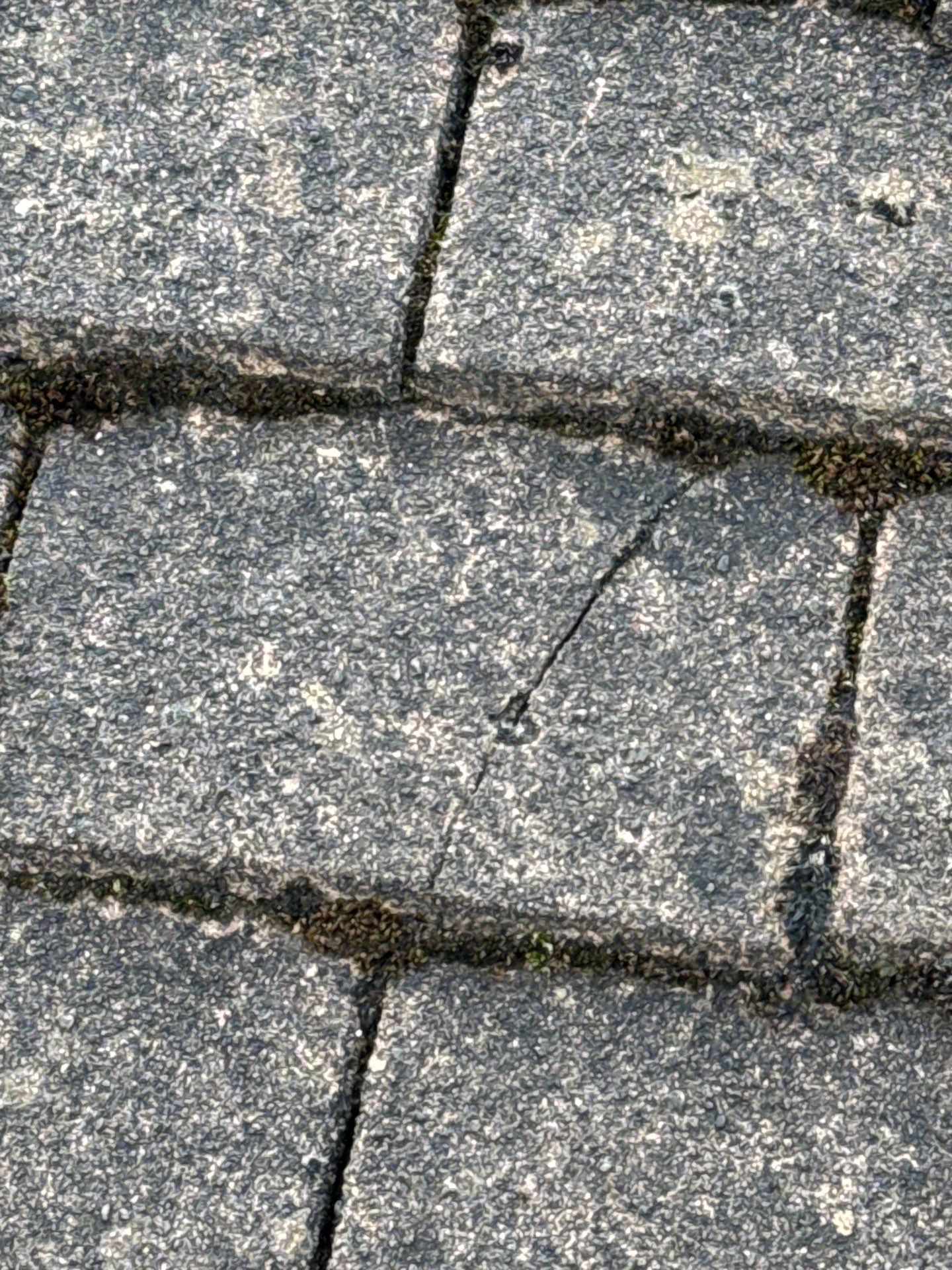 Exterior Clean - Roof - Patio - Driveway using honda 21 ltr/min by Ges Exterior Cleaning ltd