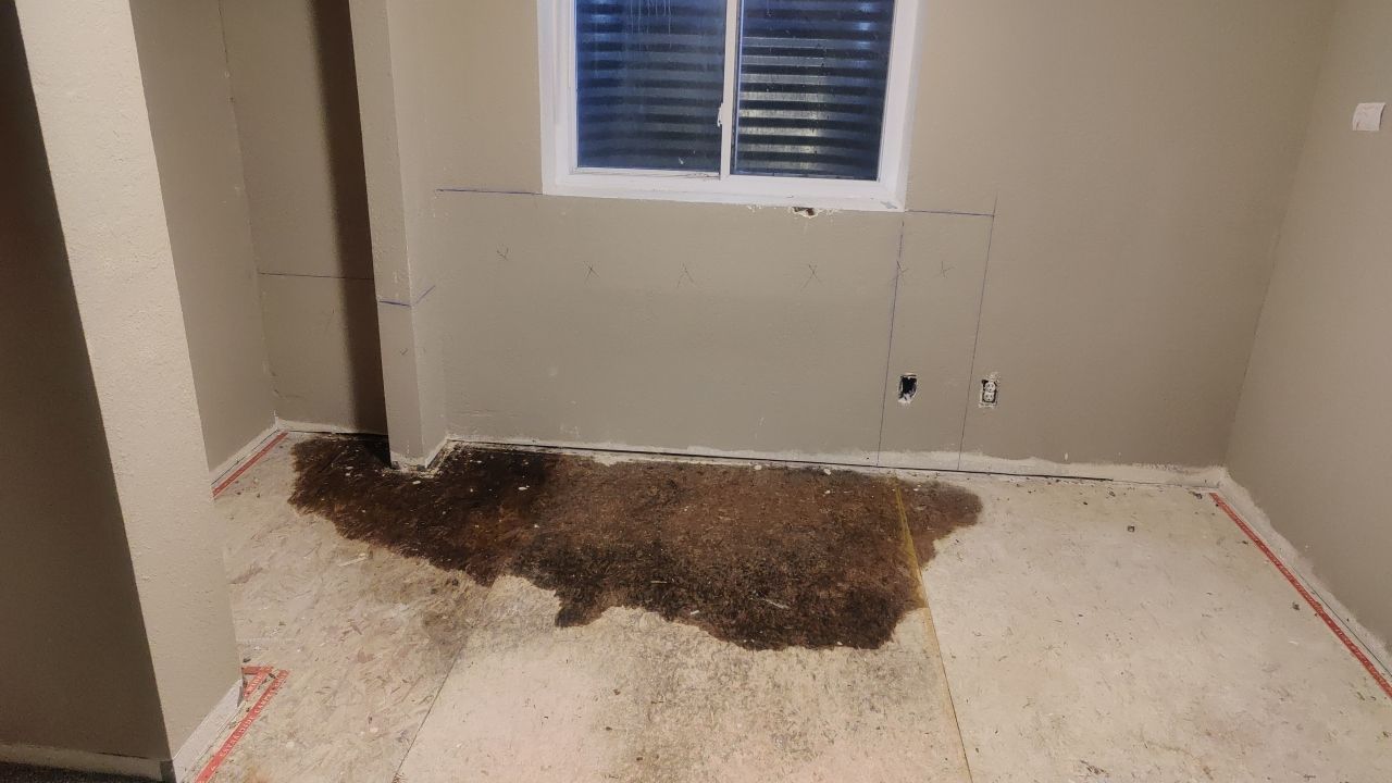 Water Damage Restoration by Accountable Home Services