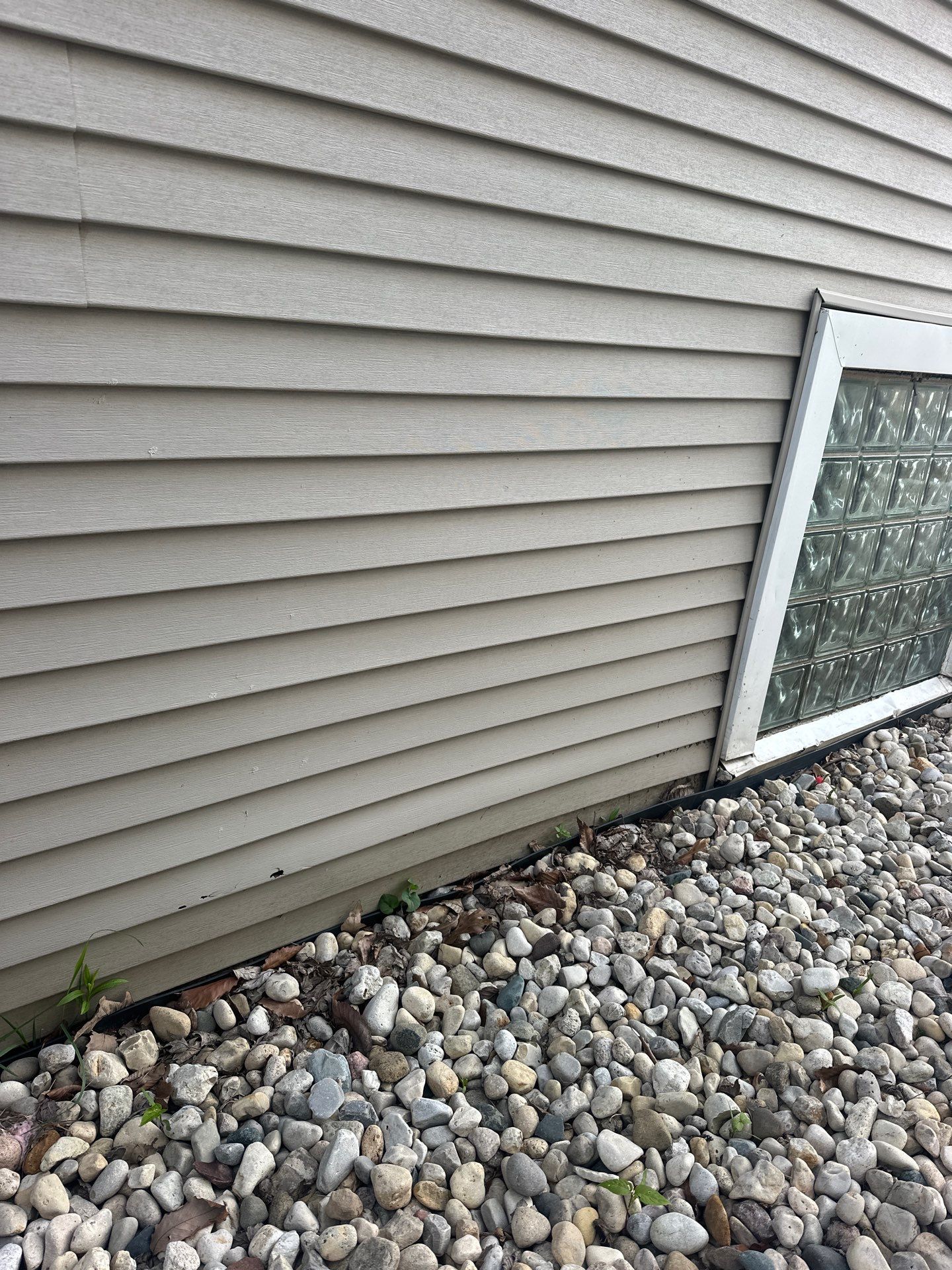 Tom D. - Wilmette, IL by A&N
