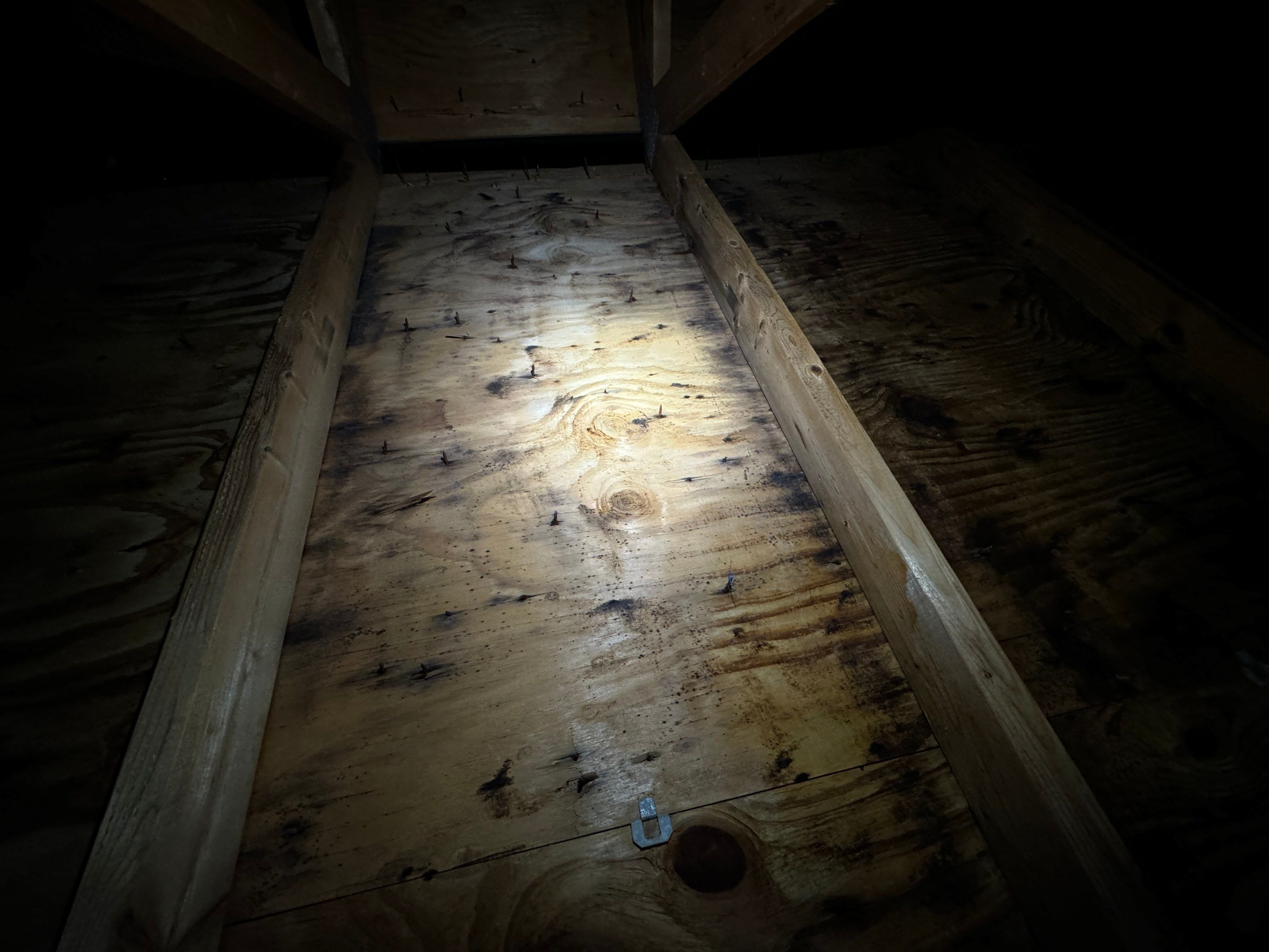 Attic Mold Remediation using Home Guarantee by Home Guarantee, LLC