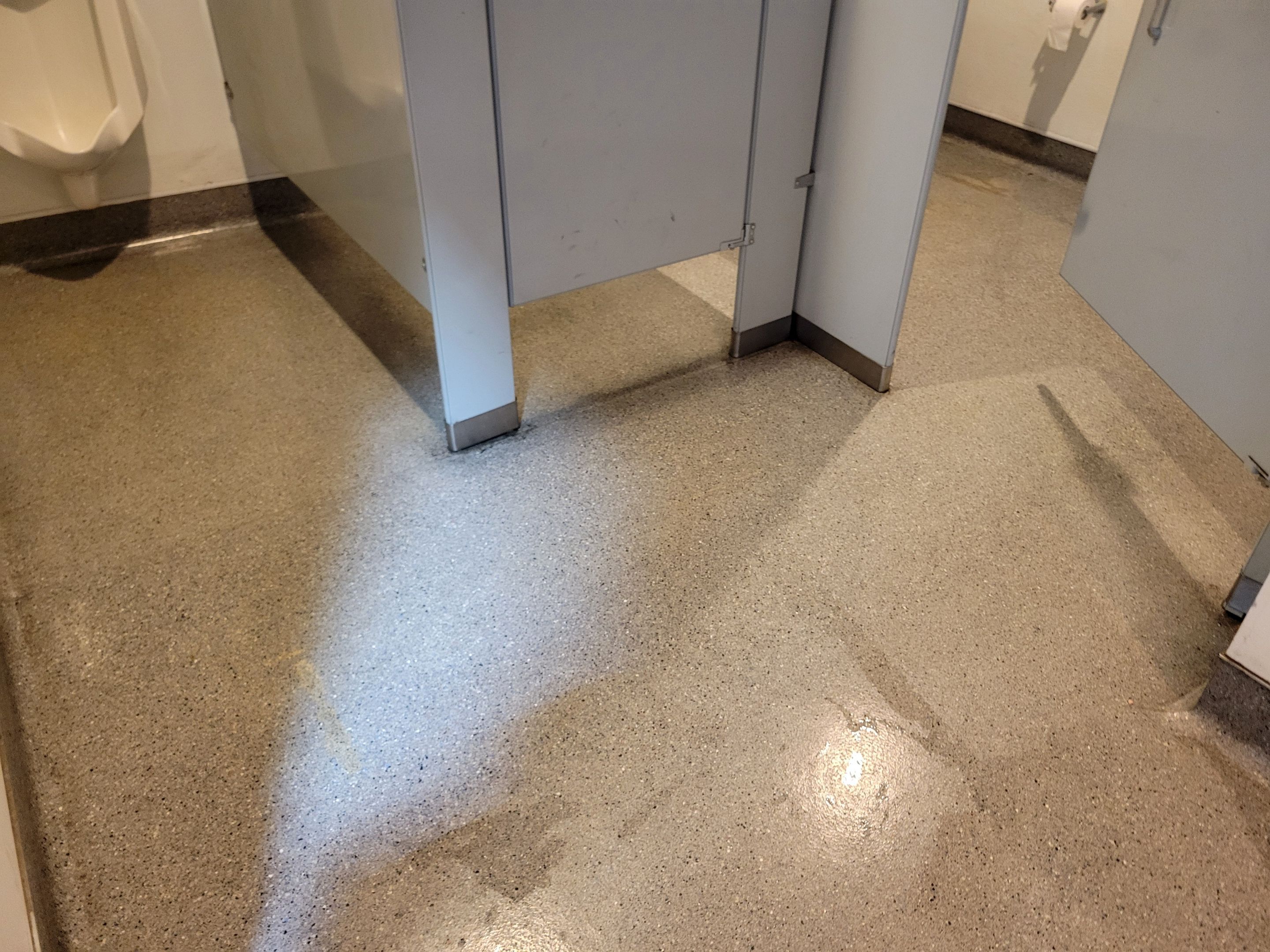Quarterly, Commercial Carpet Cleaning by Ardent Carpet Restore LLC