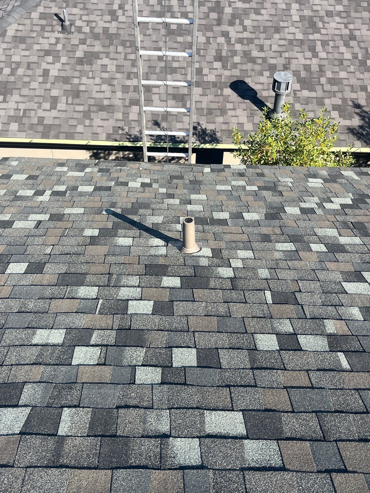 TAMKO Thunderstorm Grey-White Brick  by Tejas Roofworks + Restoration