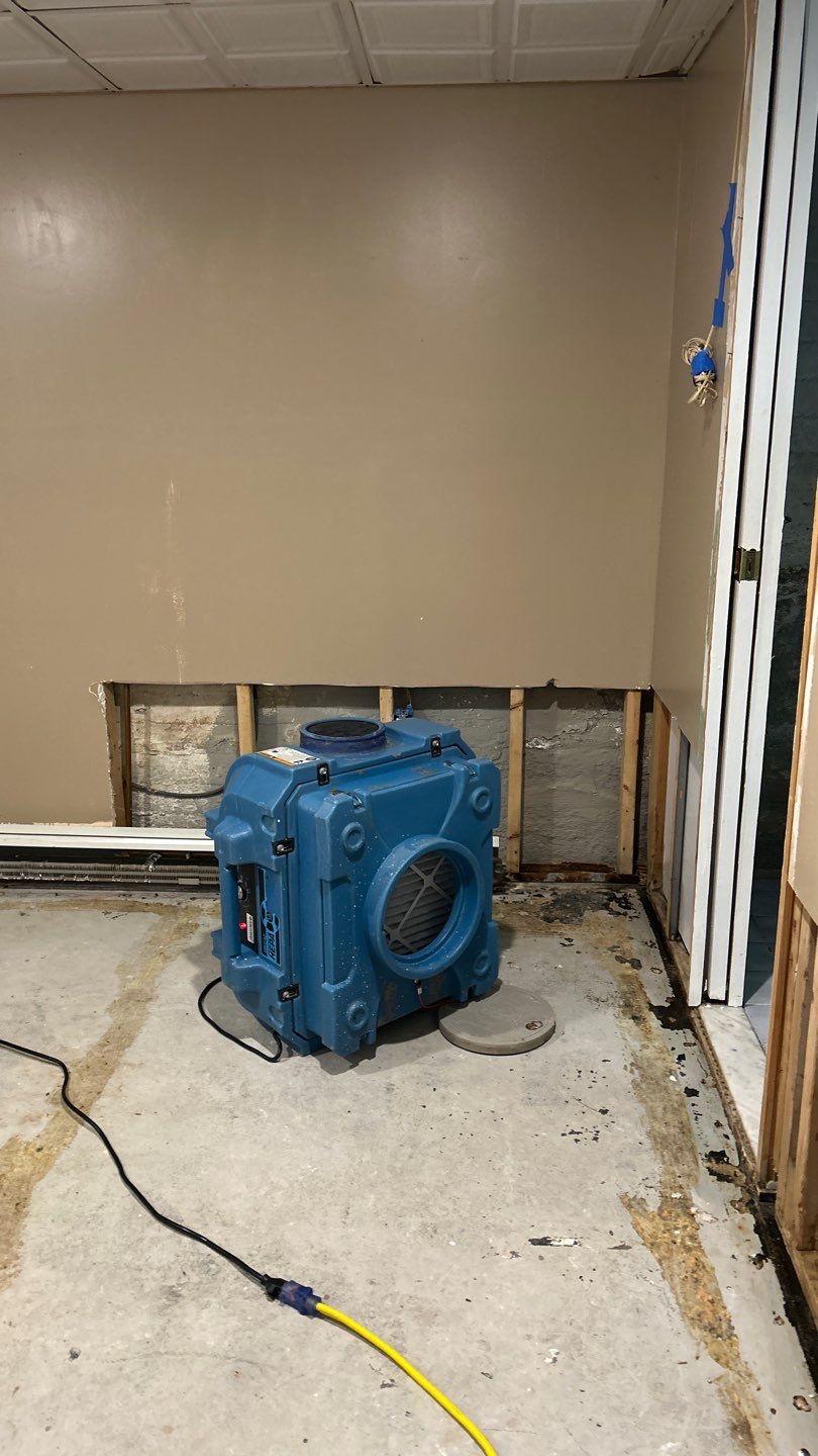 Mold Remediation in Bethpage NY by long island mold guy