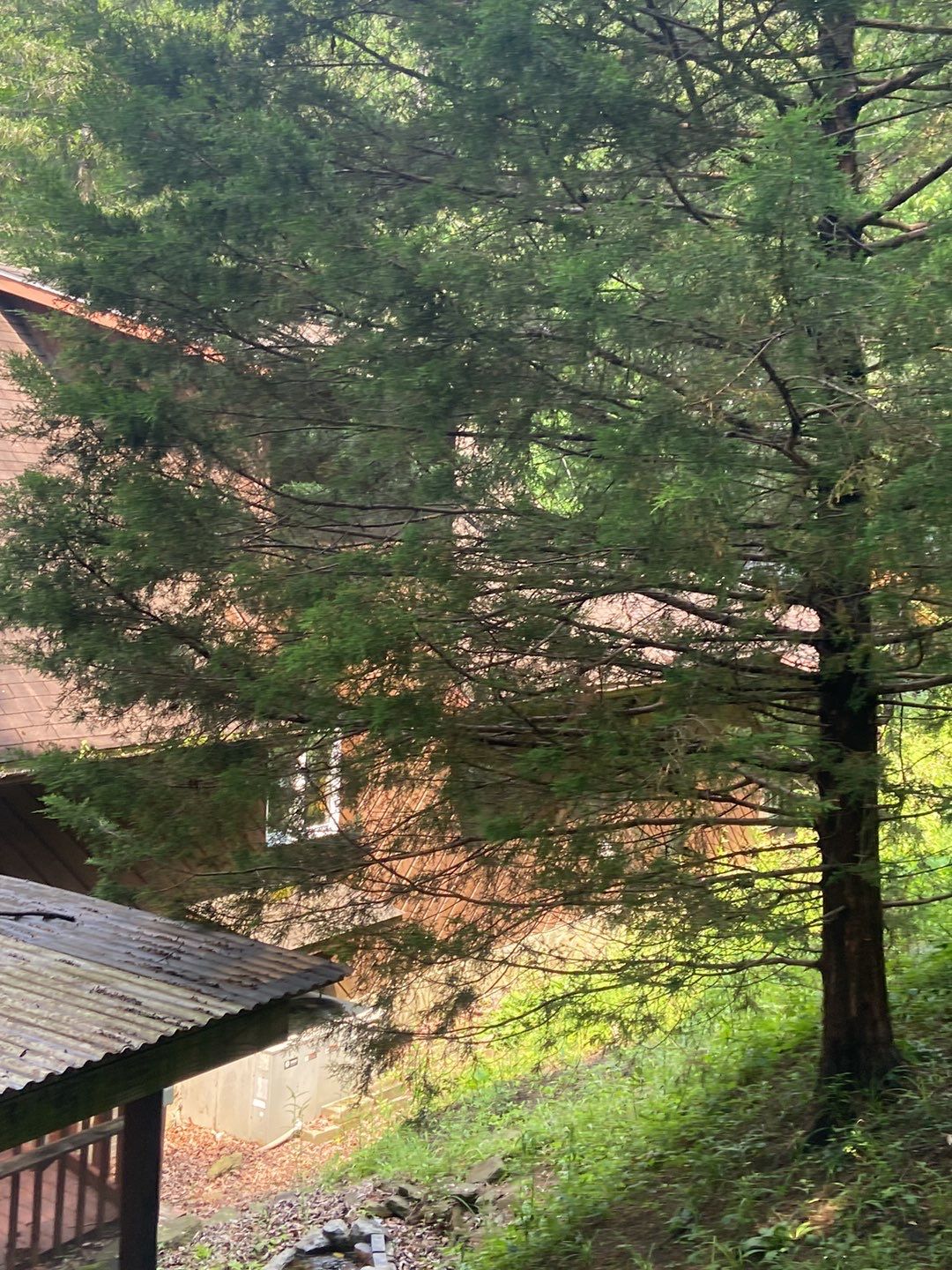 Residential Roofing Installation using Performance Shingles by Mr. Roofer