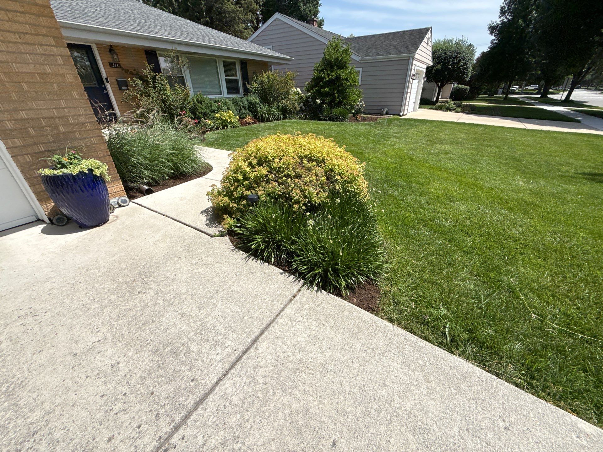 Cheris B. - Mount Prospect, IL by A&N 