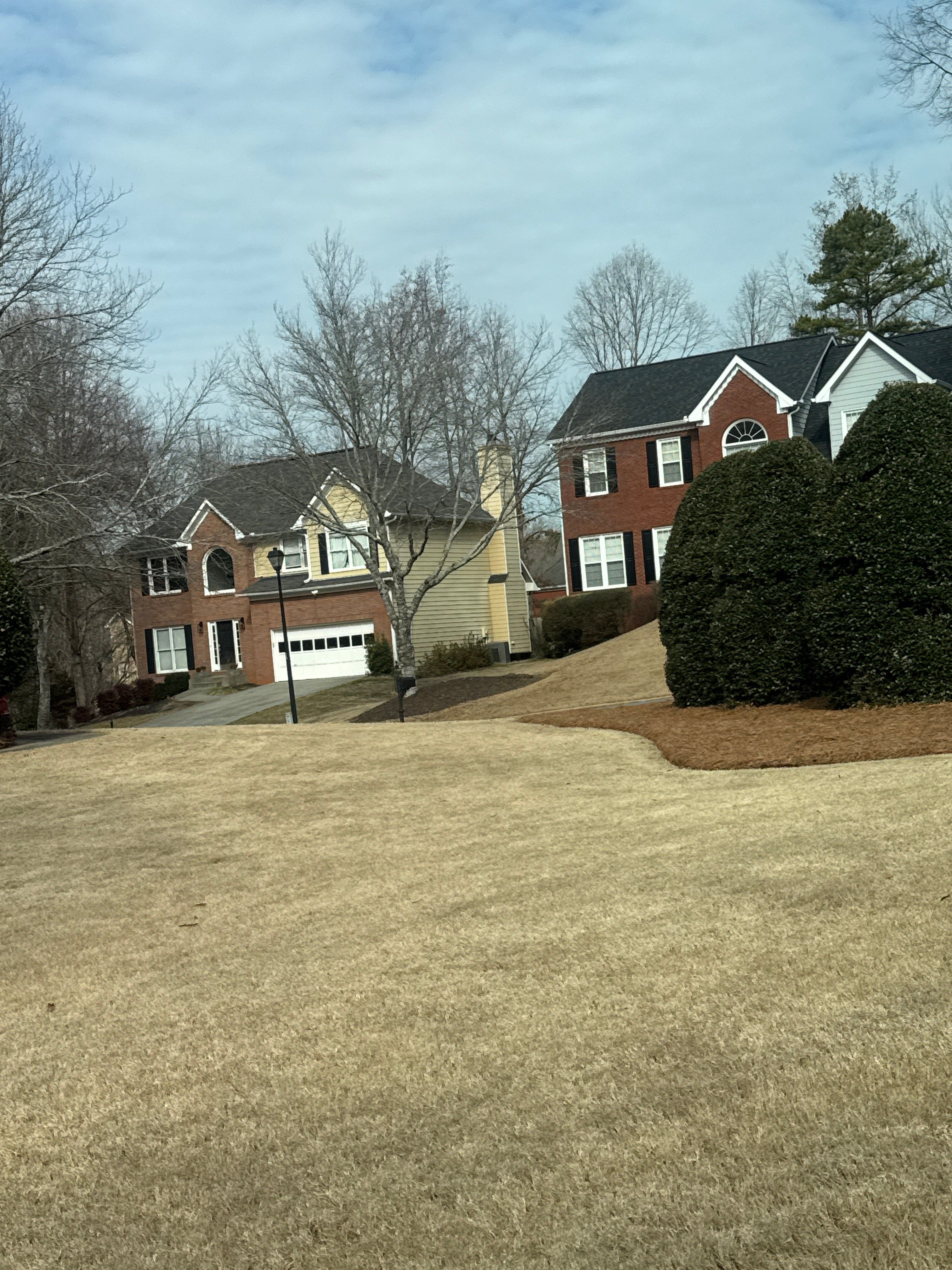 Serrato Landscape Innovations LLC featured photo.