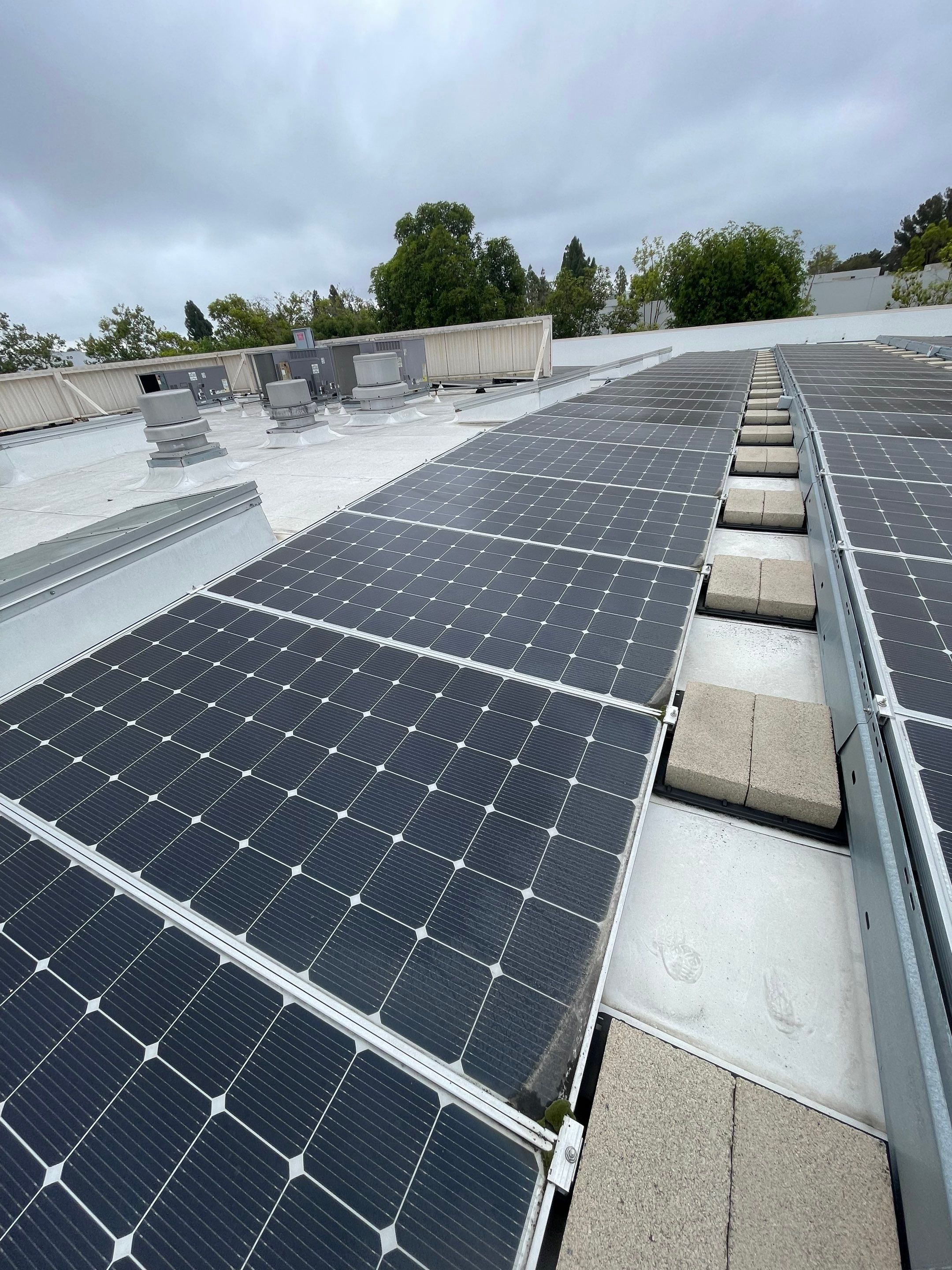 Commercial Solar Cleaning by Palm Coast Solar Cleaning