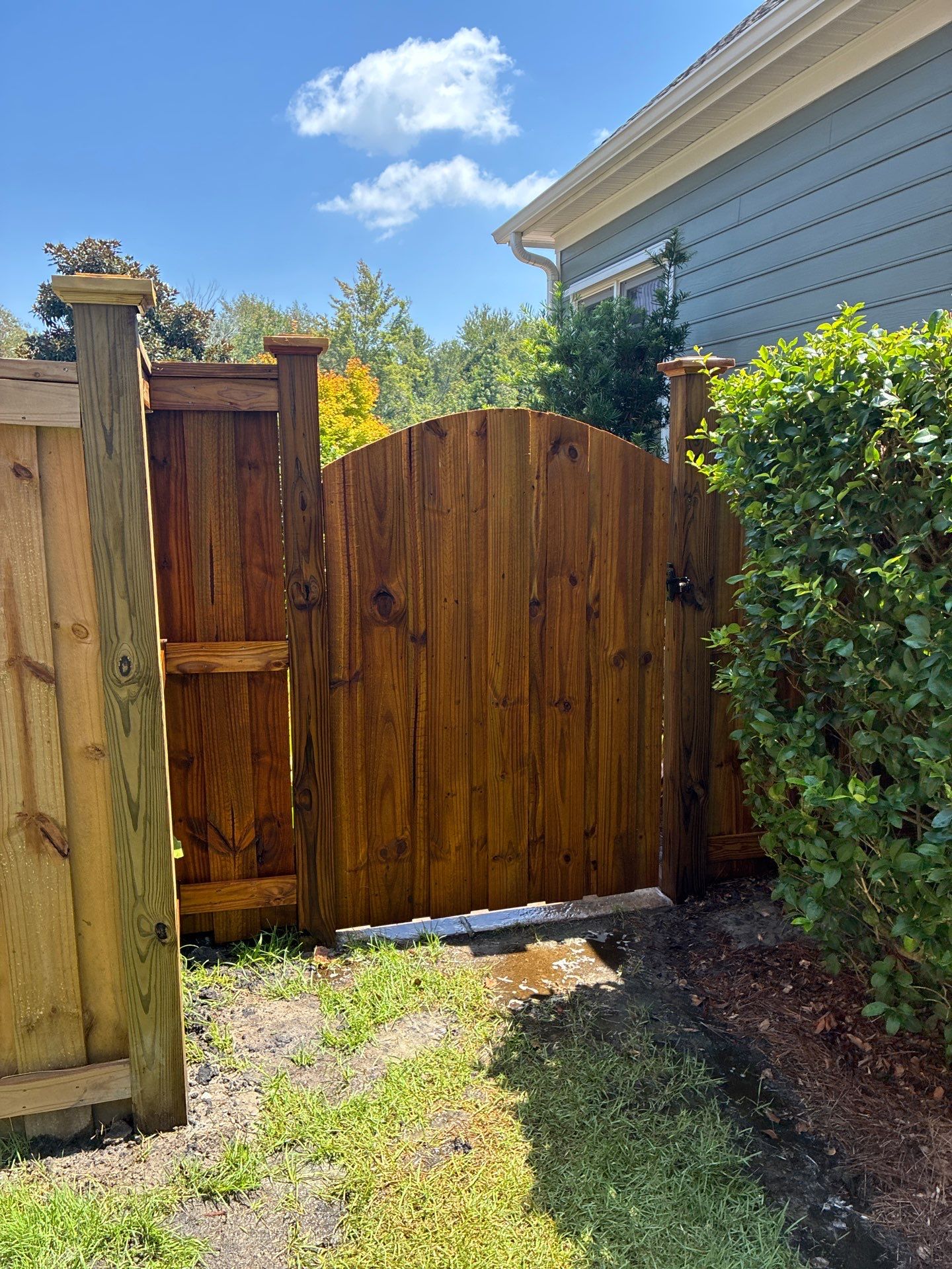 Fence using Wood Sealant by DuraSeal