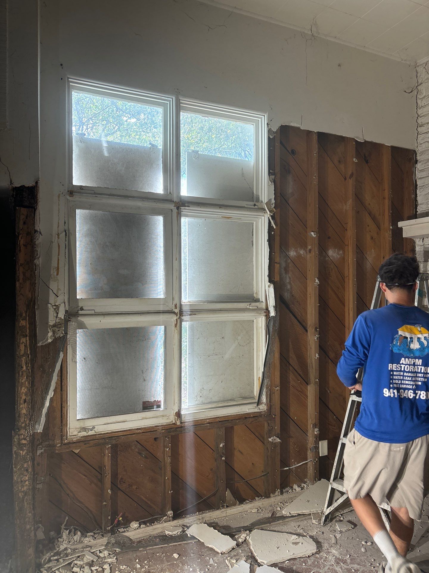 Mold Removal And Remediation In Saint Petersburg  by Ampm Restoration Services 