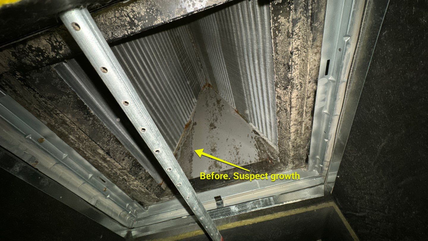Commercial Air Duct Cleaning in Clermont by Hygienic Air, Inc