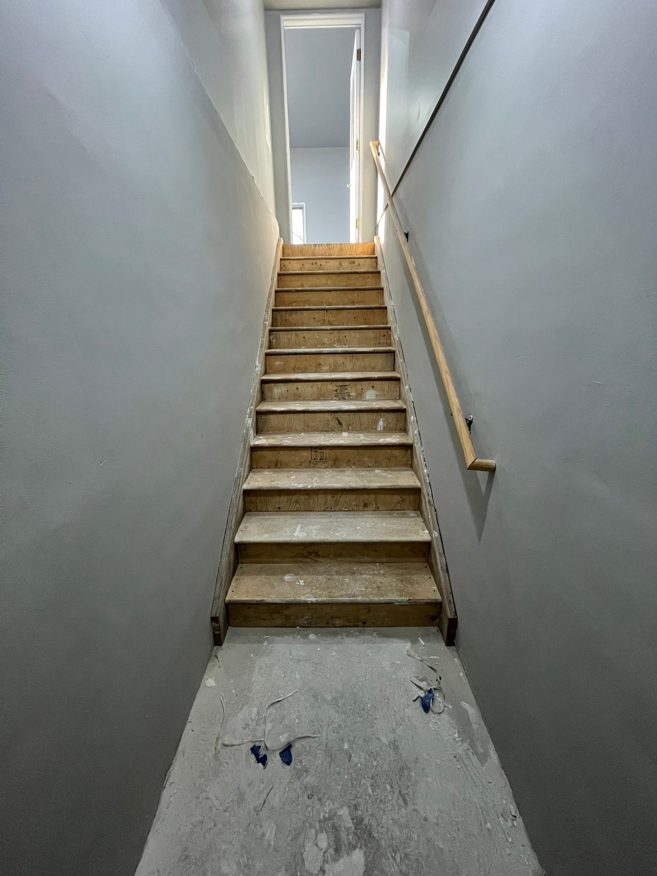 Garage using Domino  by Select Painting, Coatings & Garage Cabinets