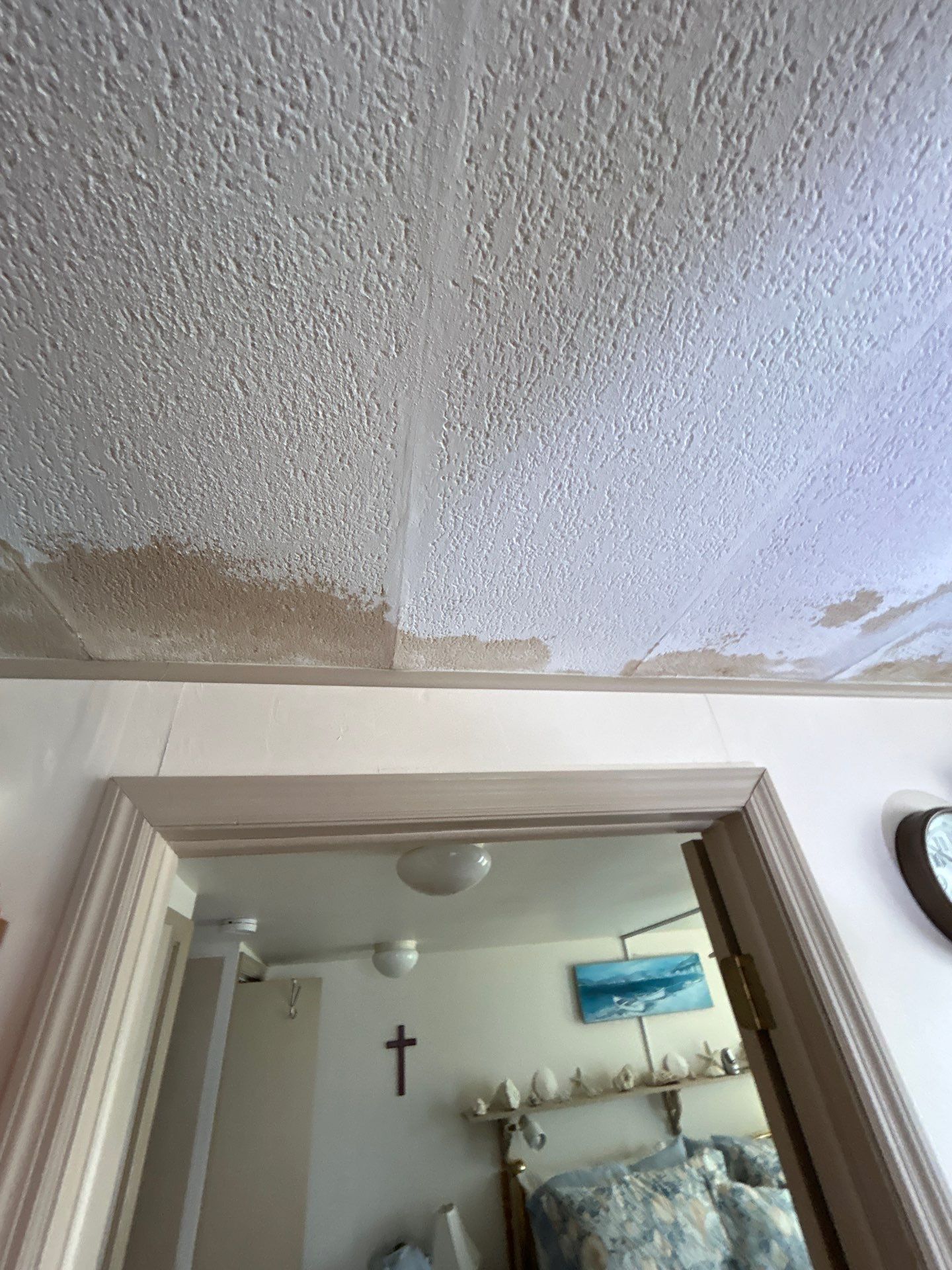 Mold Damage Inspection And Repair In Palmetto FL by Ampm Restoration Services