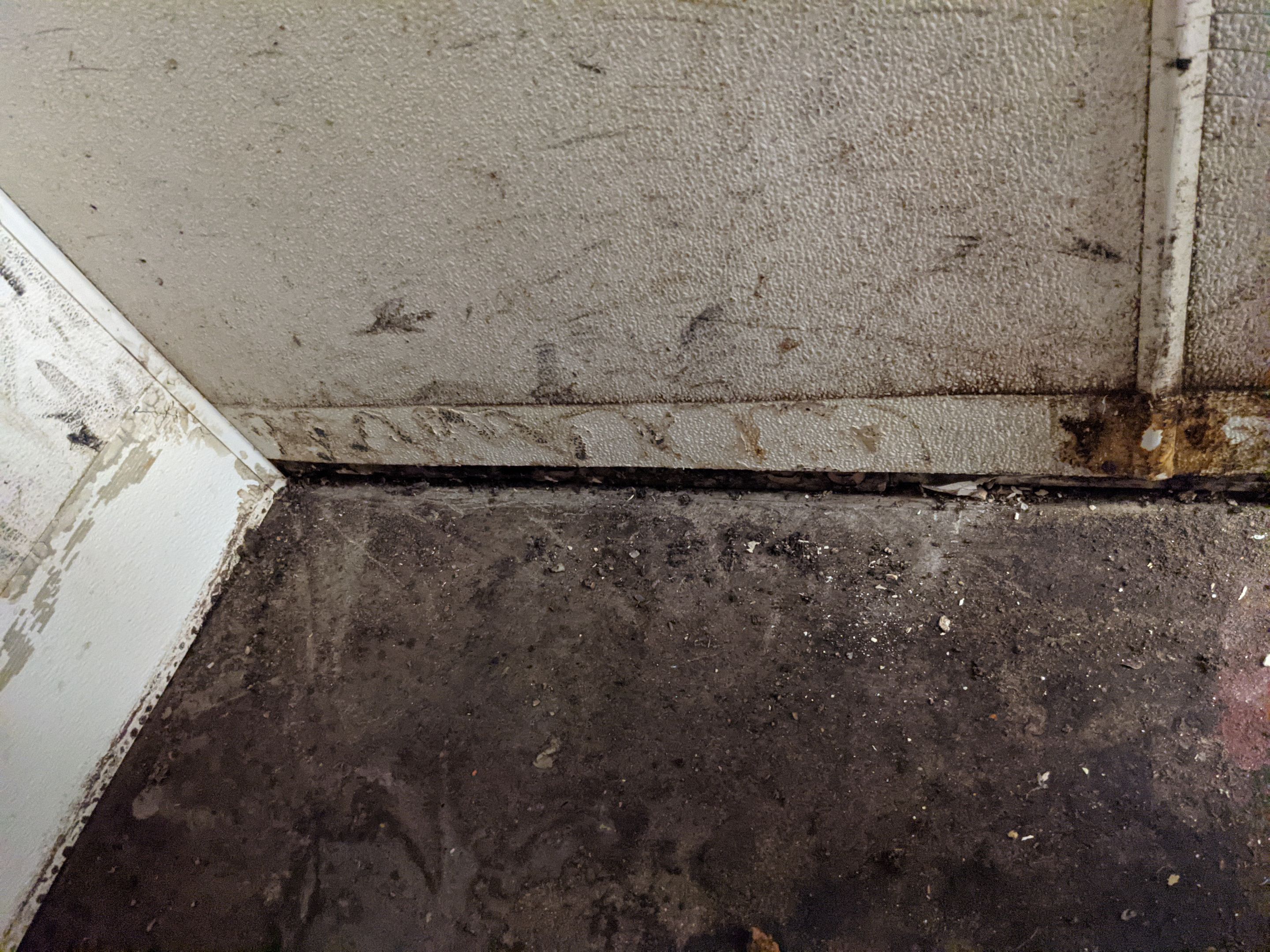 Commercial Floor Transformation using Penntek Evolution System by Croc Coatings, LLC