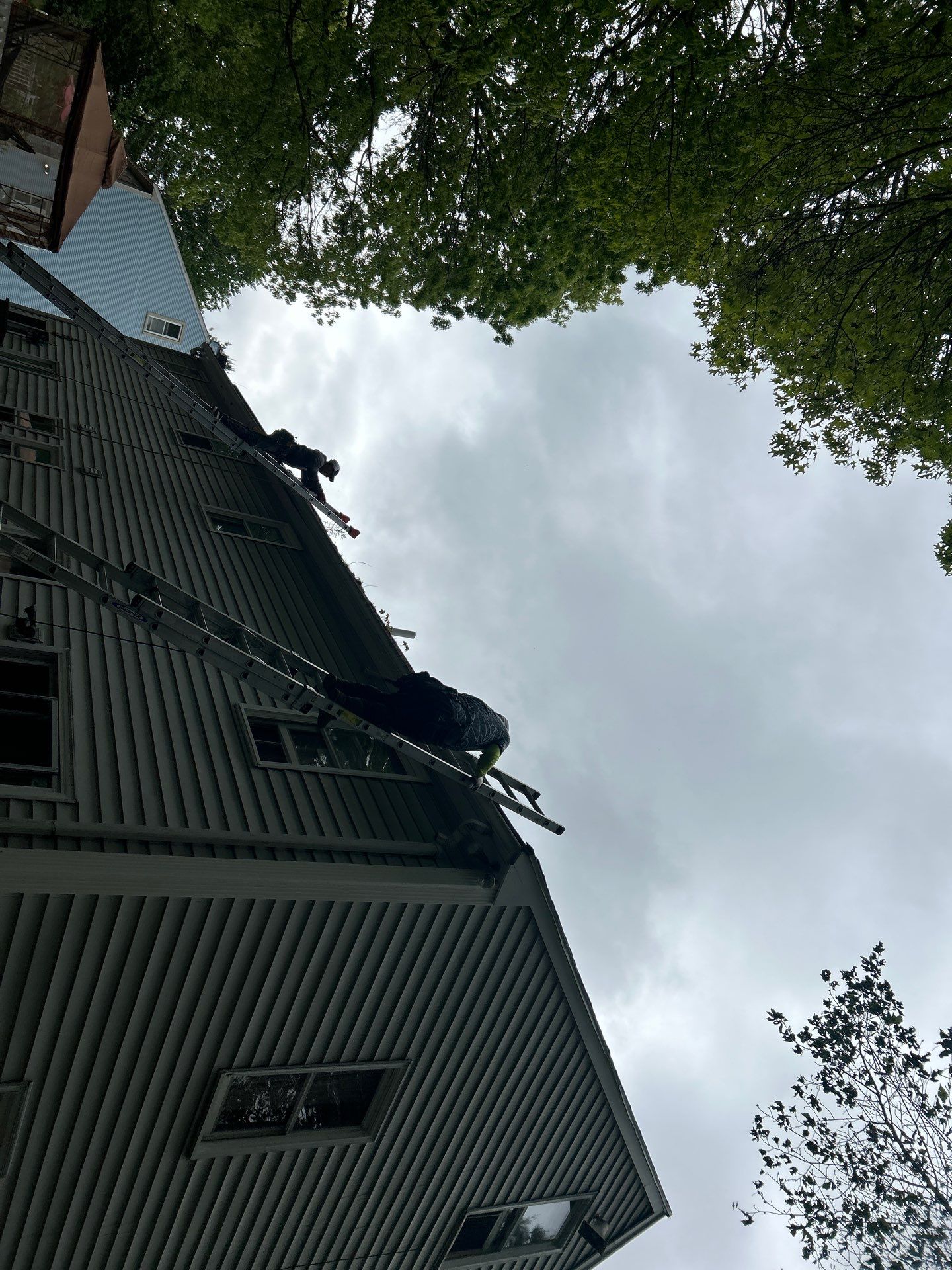 Siding, Roofing & Skylights | Haverhill by Mighty Dog Roofing of Greater Middlesex County