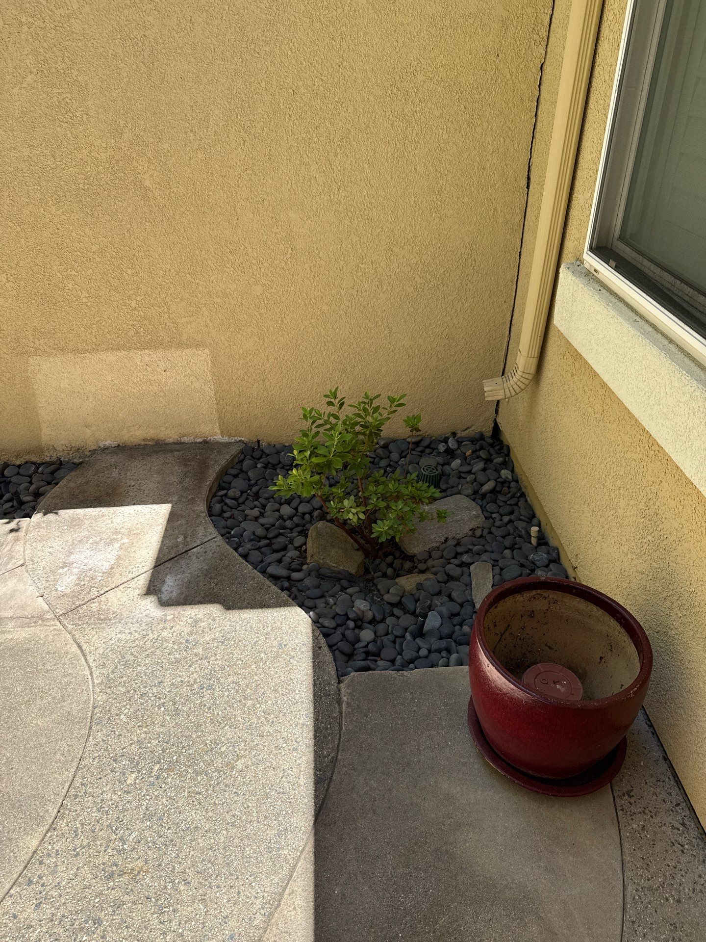 Small Patio Clean Up in Carlsbad by Yard Techs