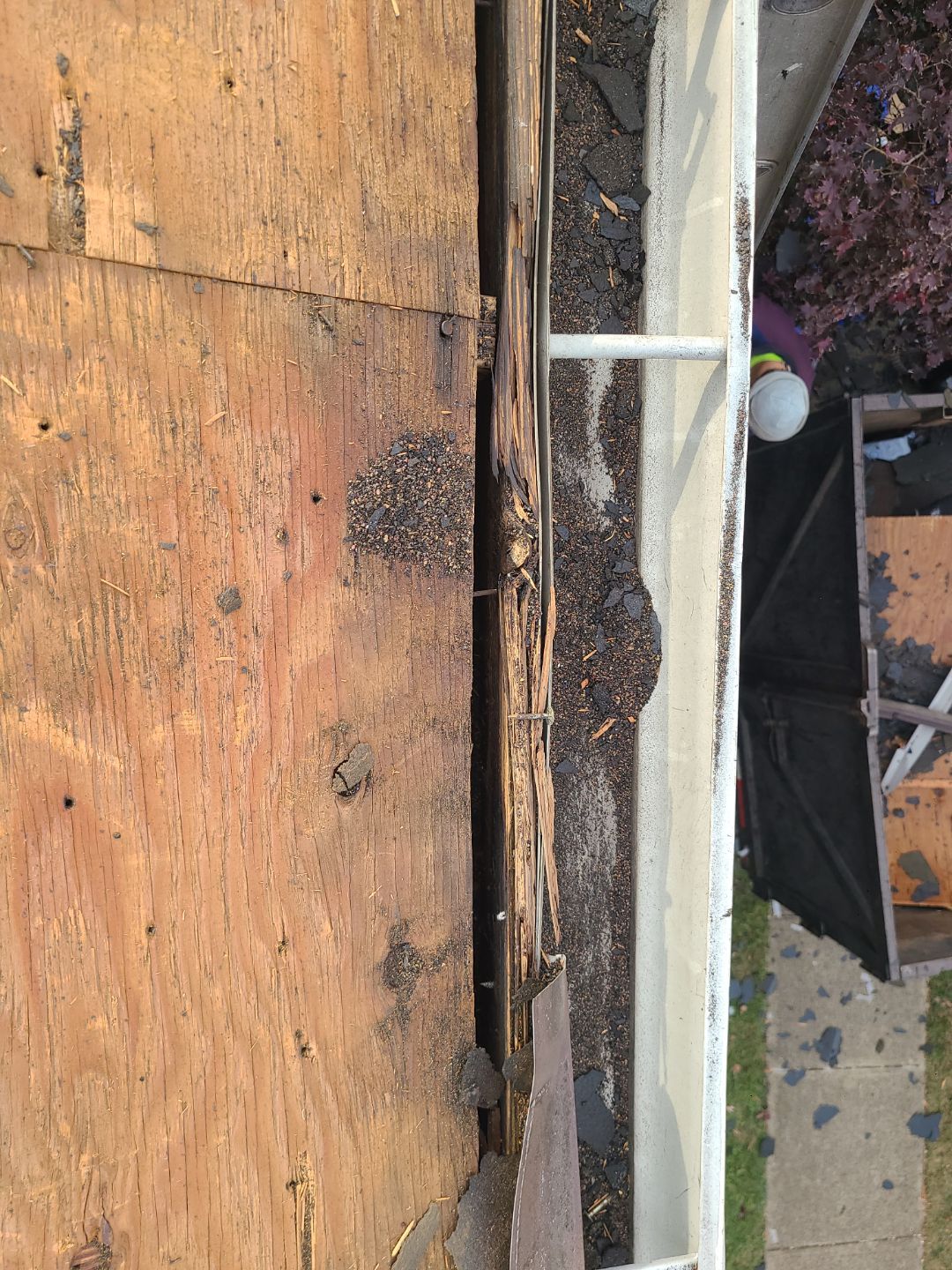 Springfield: Residential Roof Replacement with CertainTeed Landmark Pro in Max Def Burnt Sienna by RM Banning, Inc.