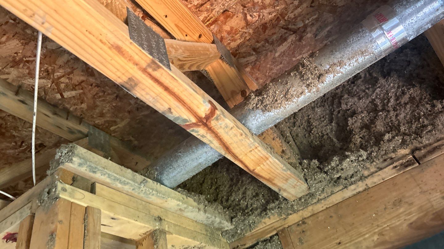 Current restoration project by RJ's Reliable Construction