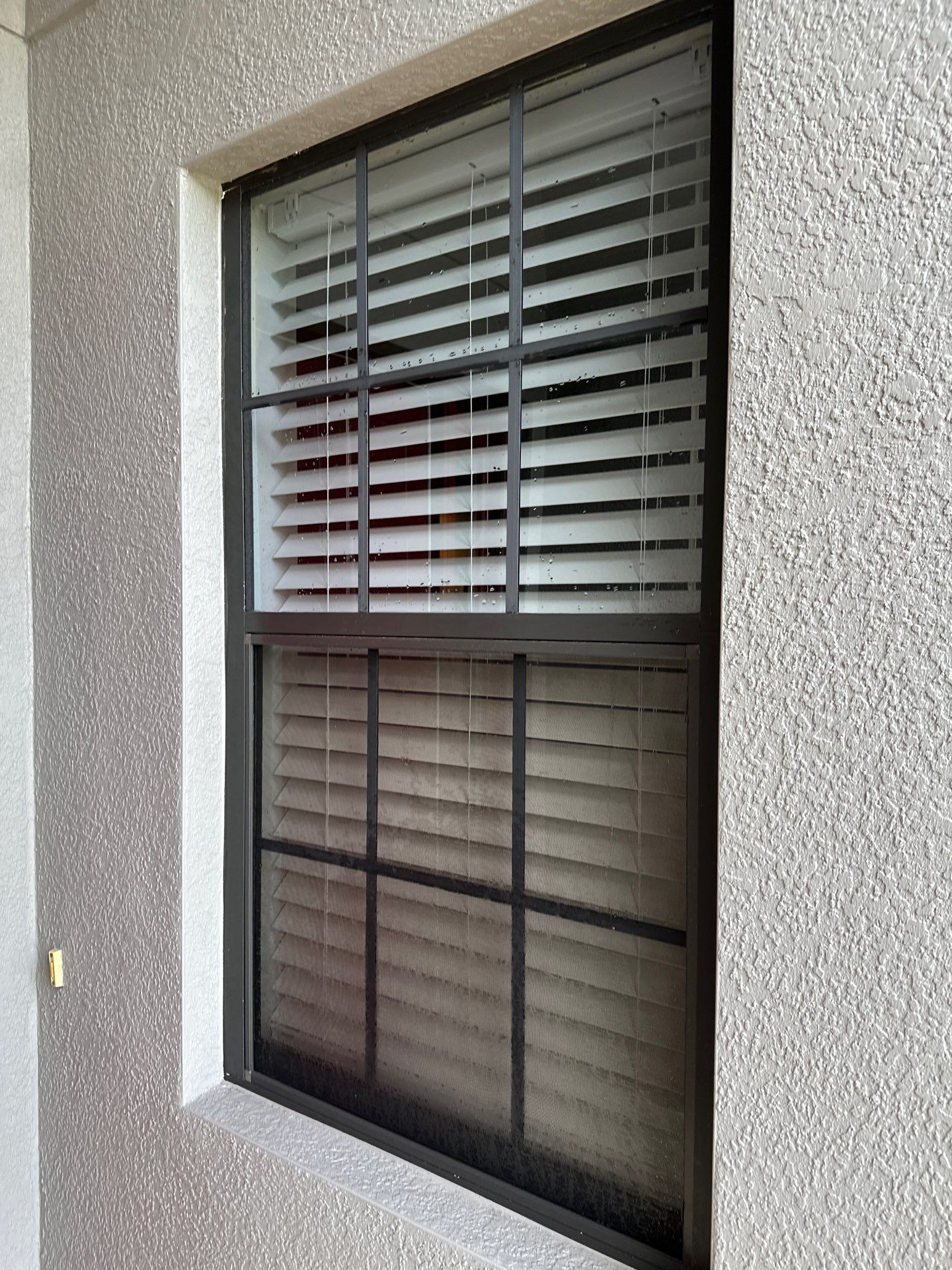House Wash, Lanai Cleaning, and Driveway Cleaning by Sunshine AquaWash