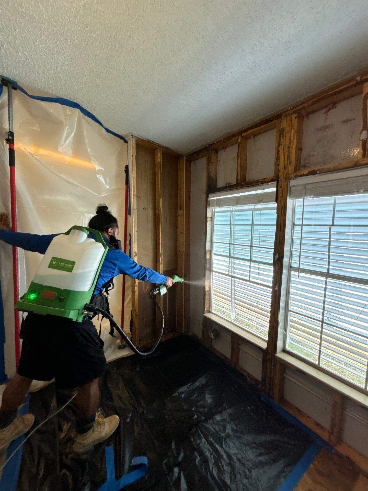 Mold Remediation Palmetto by Ampm Restoration Services 