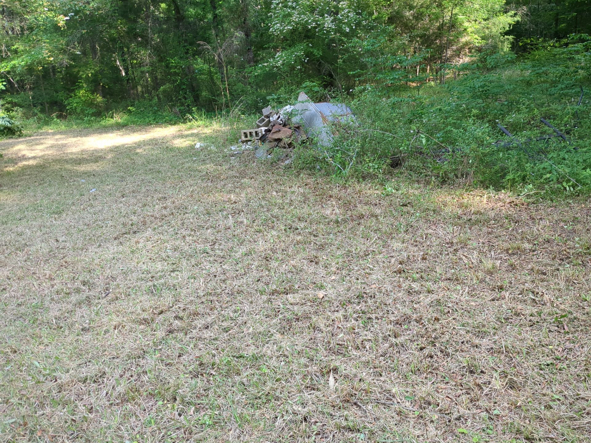 Exterior Clearing - tree trimming - grass cut by Swift Signings and Services LLC