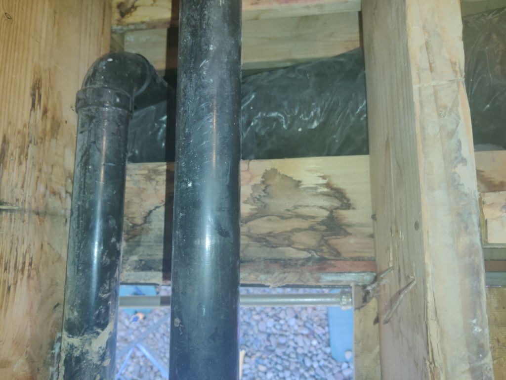 Mold Remediation in Bathroom by Accountable Home Services