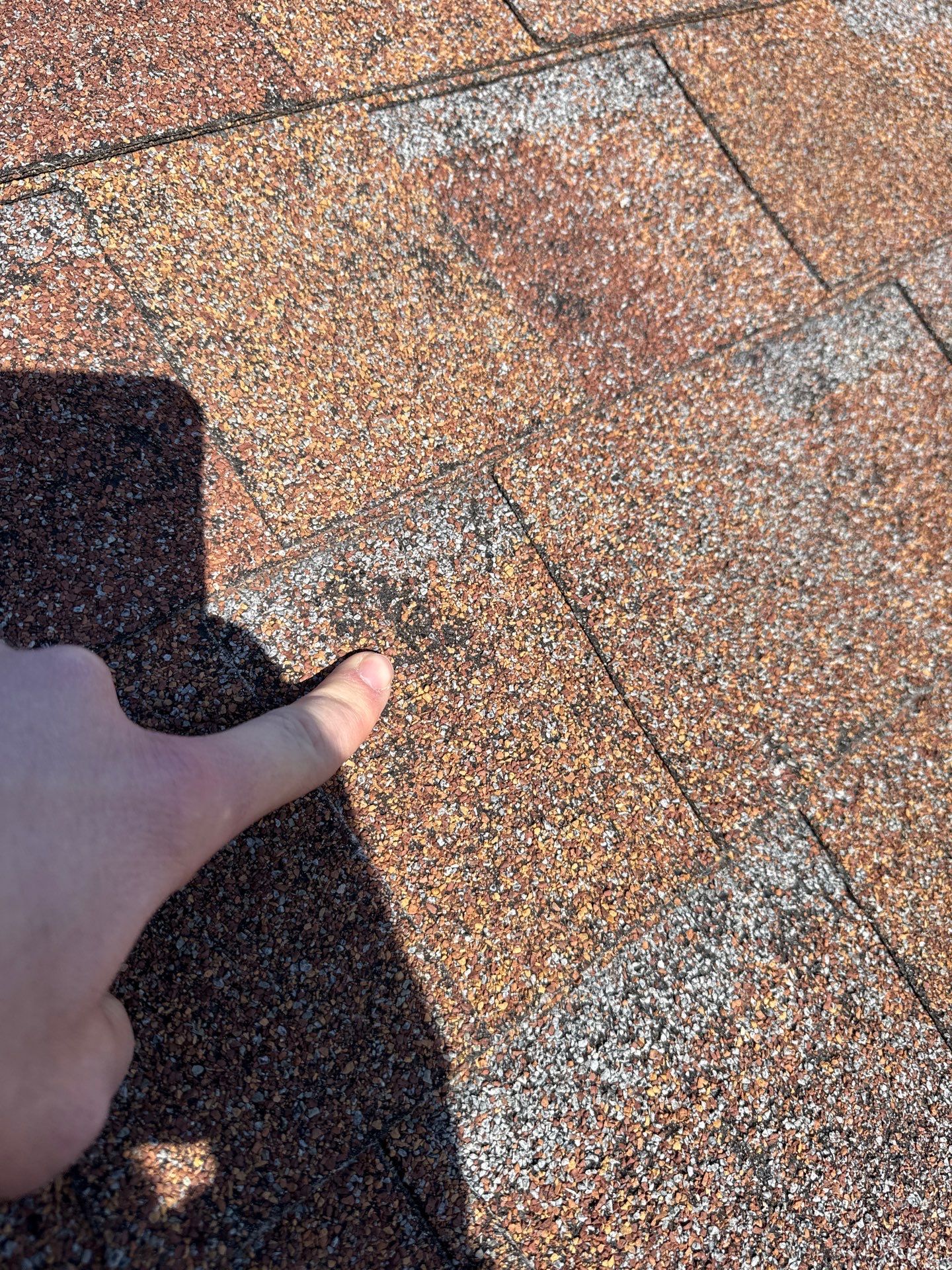 Roof Replacement & Seamless Gutters in Ozark by Table Rock Design + Build