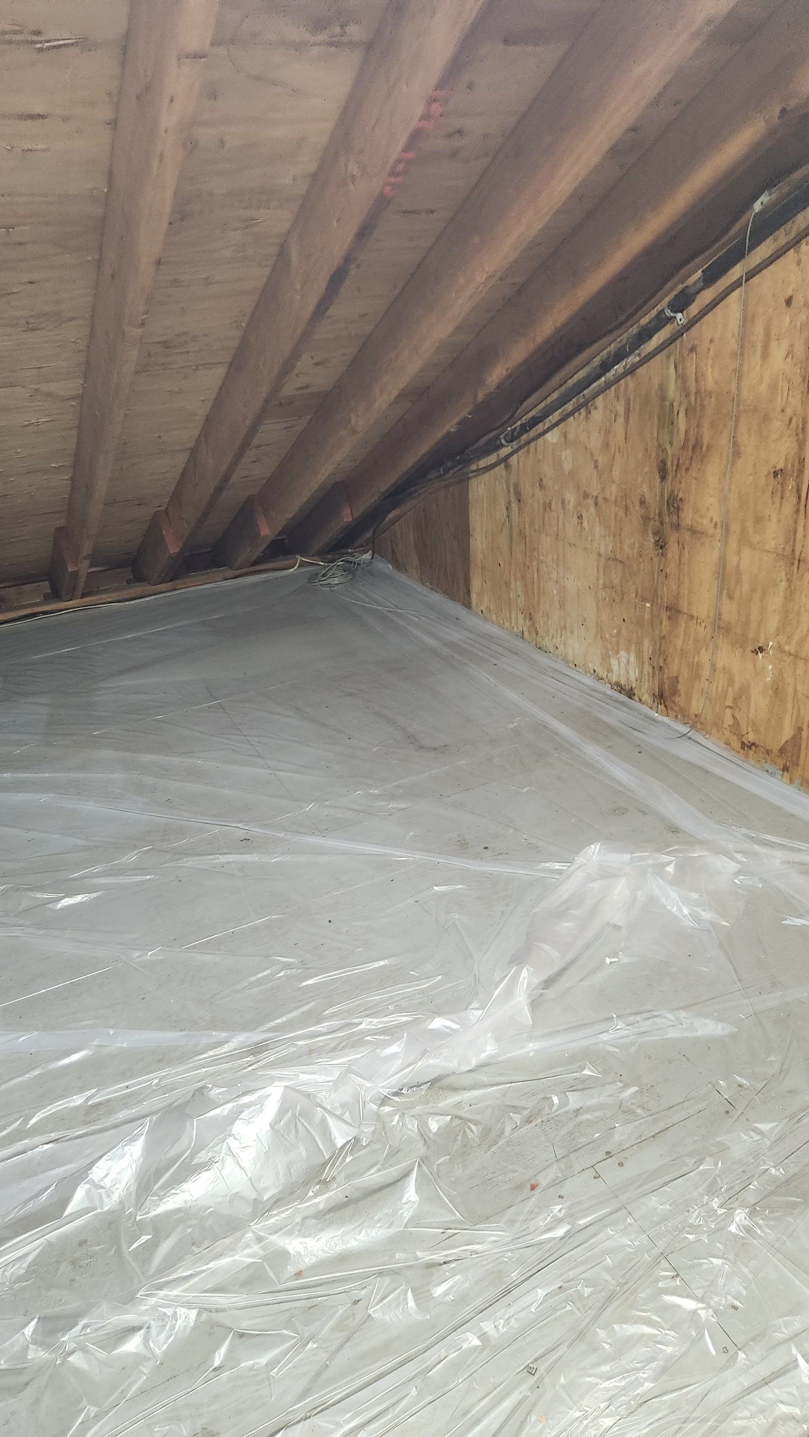 Attic Mold Remediation in Montville, NJ by Pure Service Pro, LLC