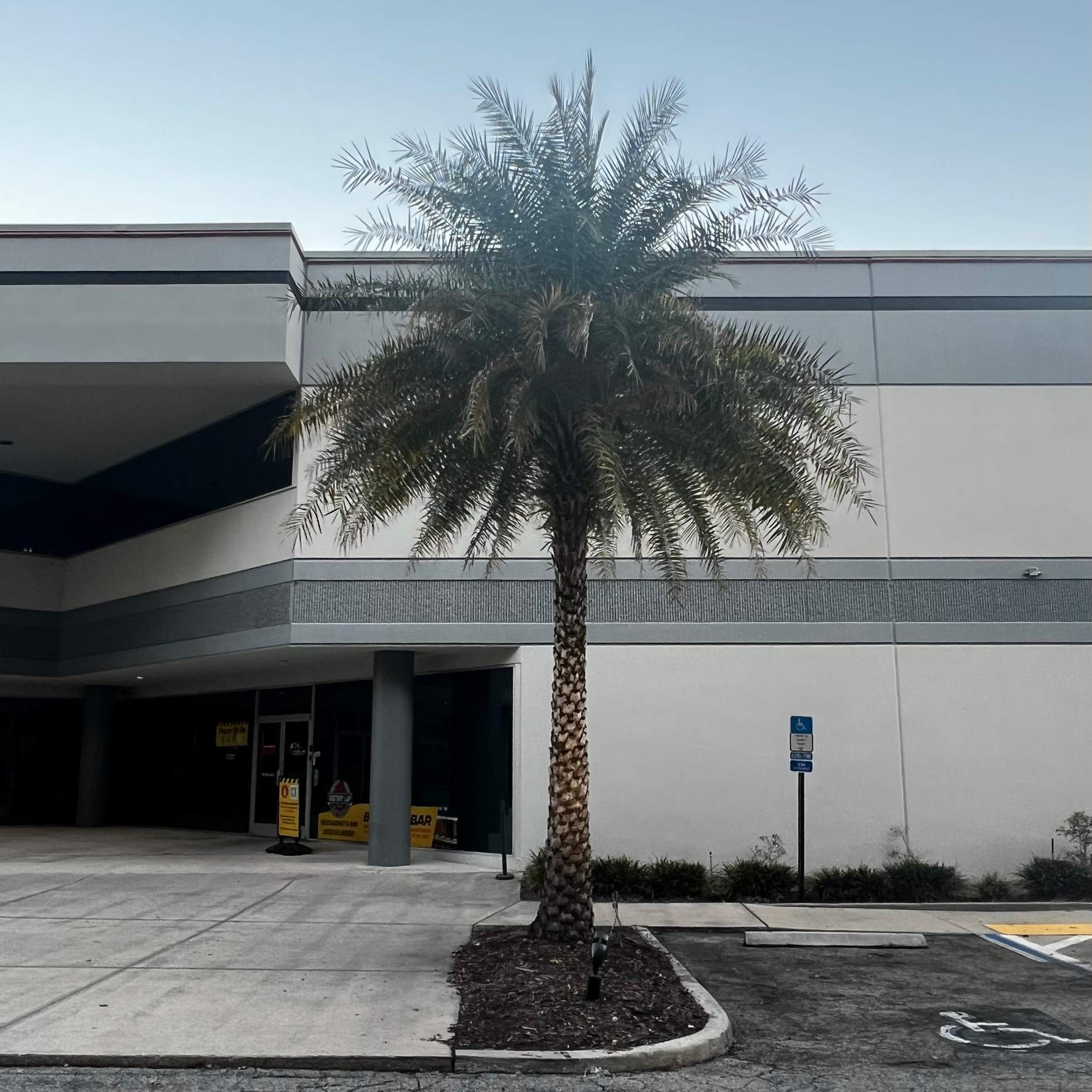 Tree Trimming | Autobahn Raceway by ProGreen Services