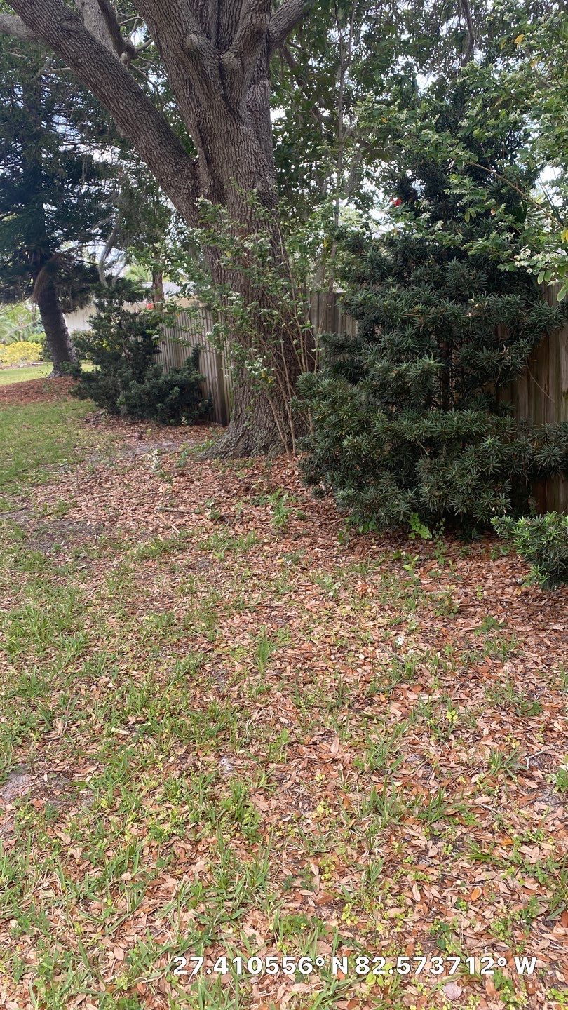 Sarasota, FL 6ft. Tall Treated Board on Board Wood Fence by Asap fence and gates, LLC