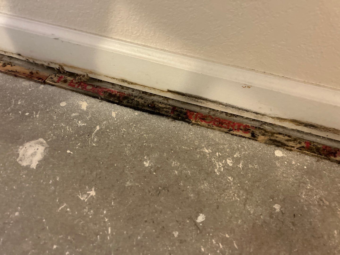Mold Damage Project in Thornton by Accountable Home Services