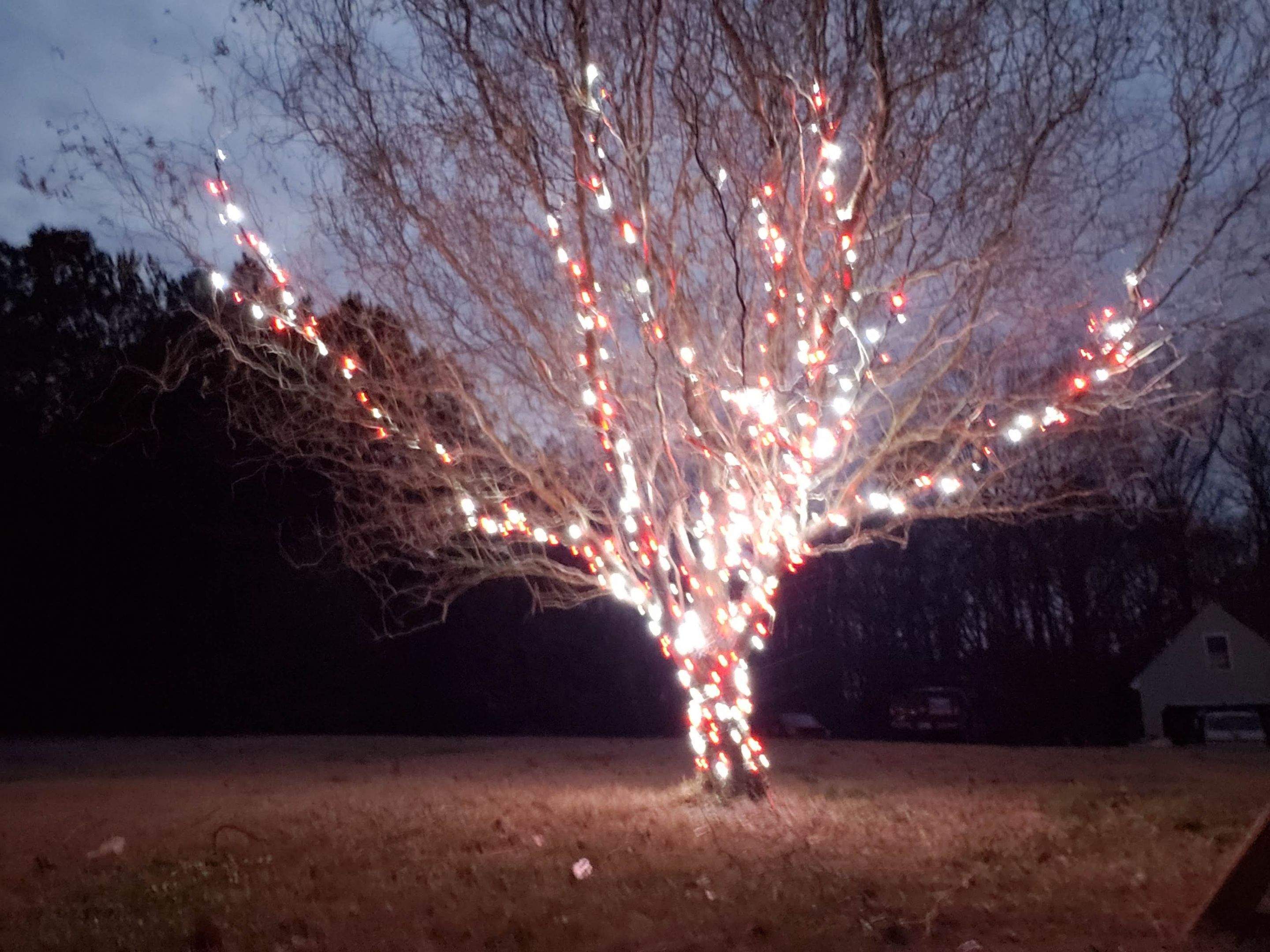 Christmas Lights by Clean Power Wash LLC