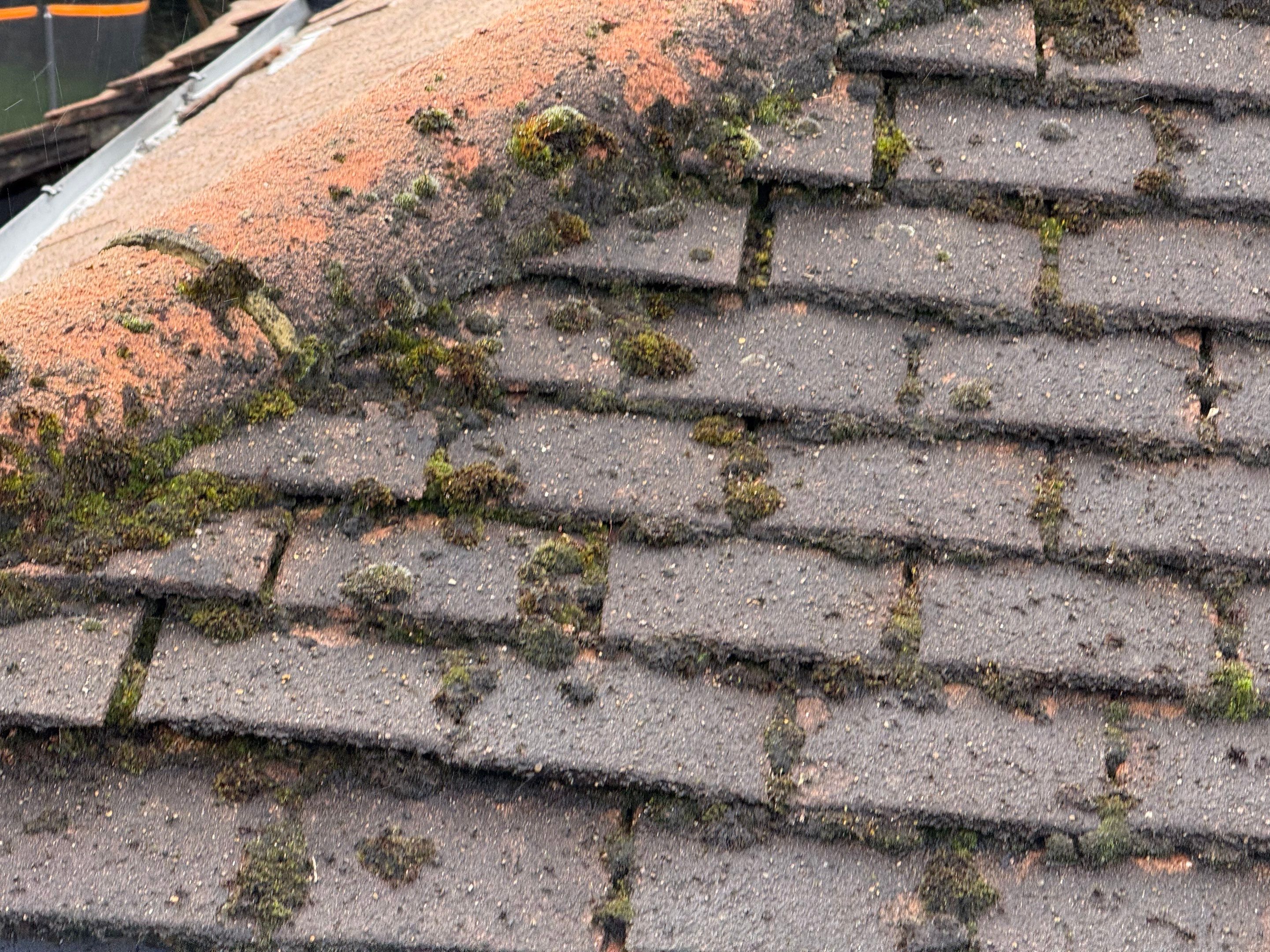 Roof Clean Epsom by Ges Exterior Cleaning ltd