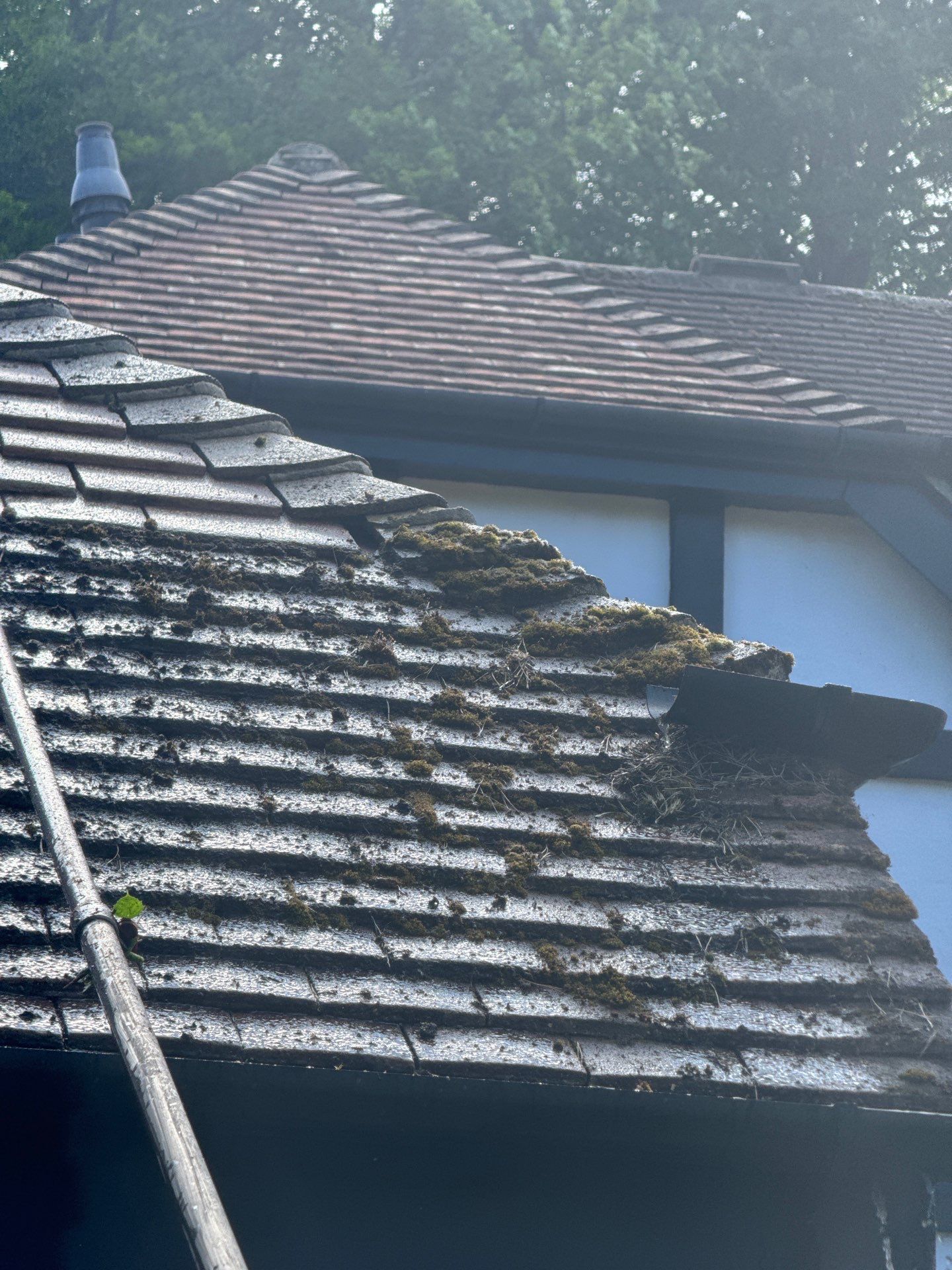 Roof Clean and Biocide Treatment using Honda 15lpm Low Pressure Washing Machine by Ges Exterior Cleaning ltd