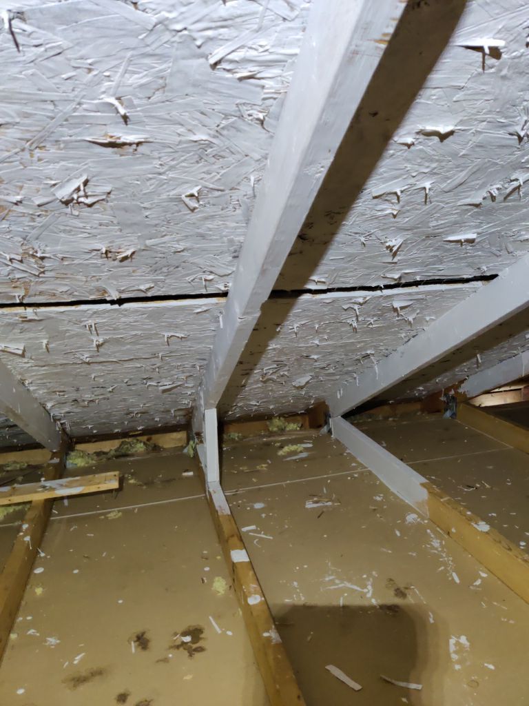 Mold Remediation Cleanup in Attic by Accountable Home Services