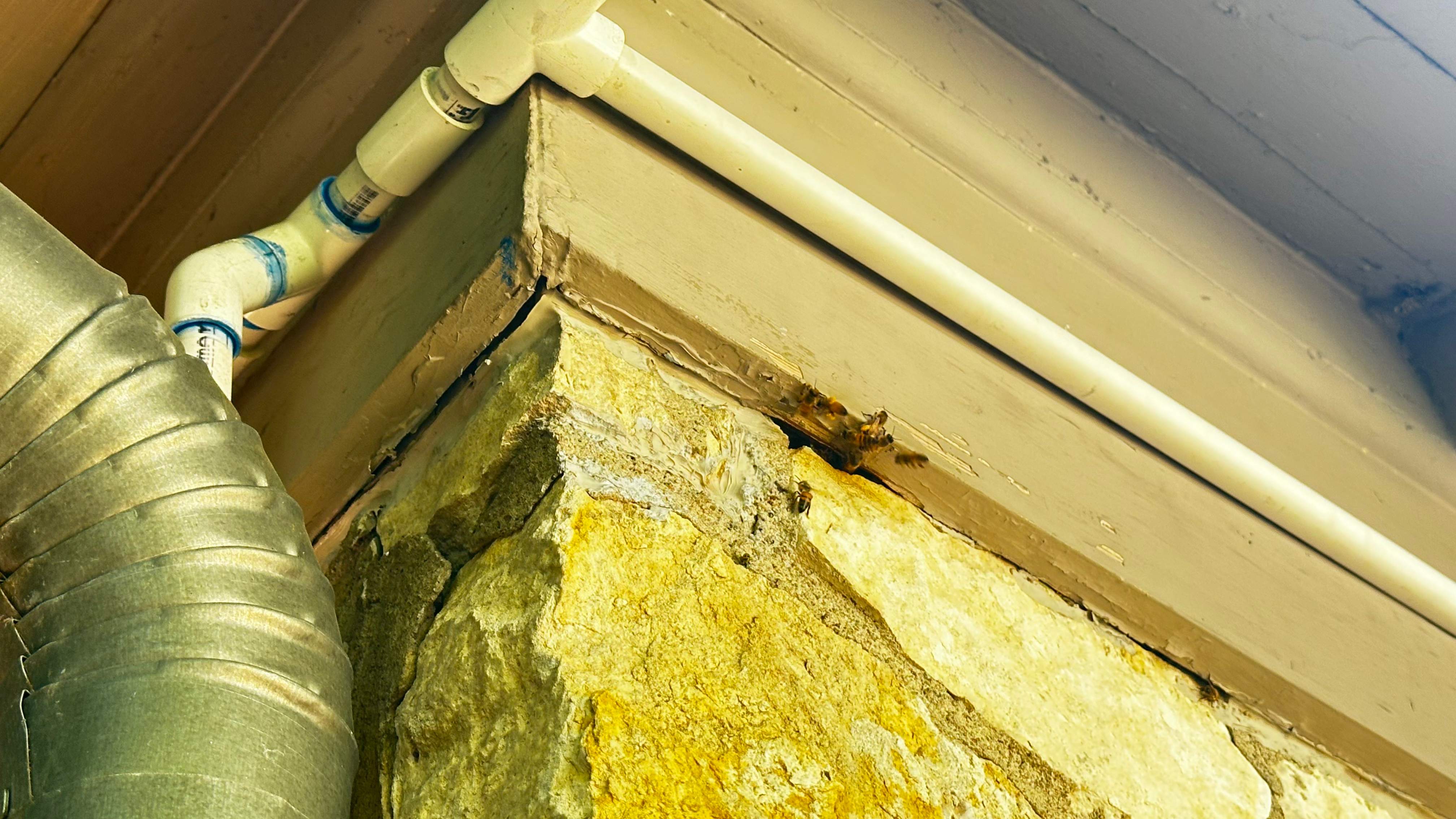 Unsealed Attic by Rockwall Honey Bee Company