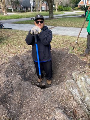 Deerwood Resident | Tree Removal & Install