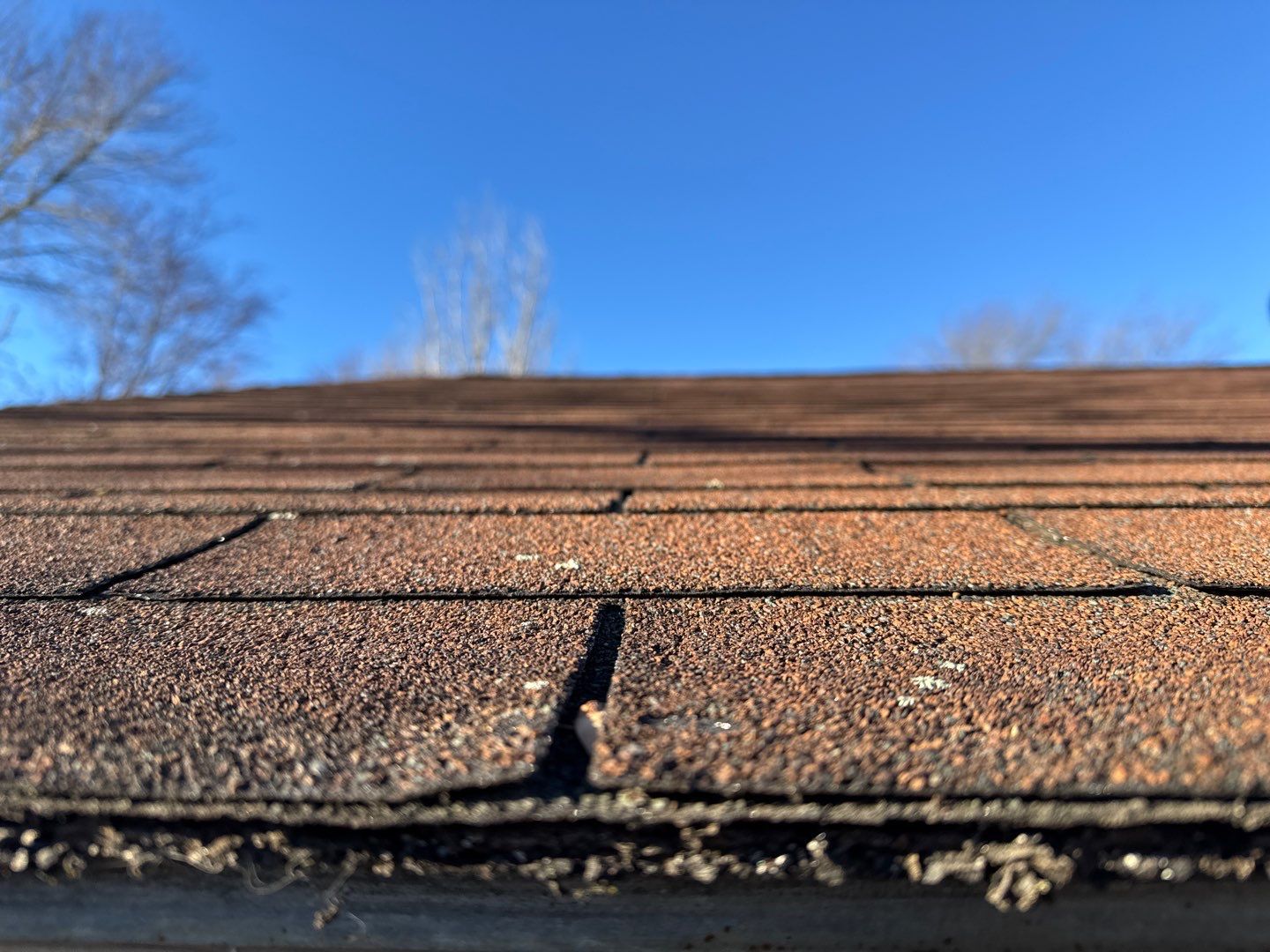  "Holiday Roof Rescue: Fast Leak Repair & Full Replacement!"   by Sensible Home Solutions
