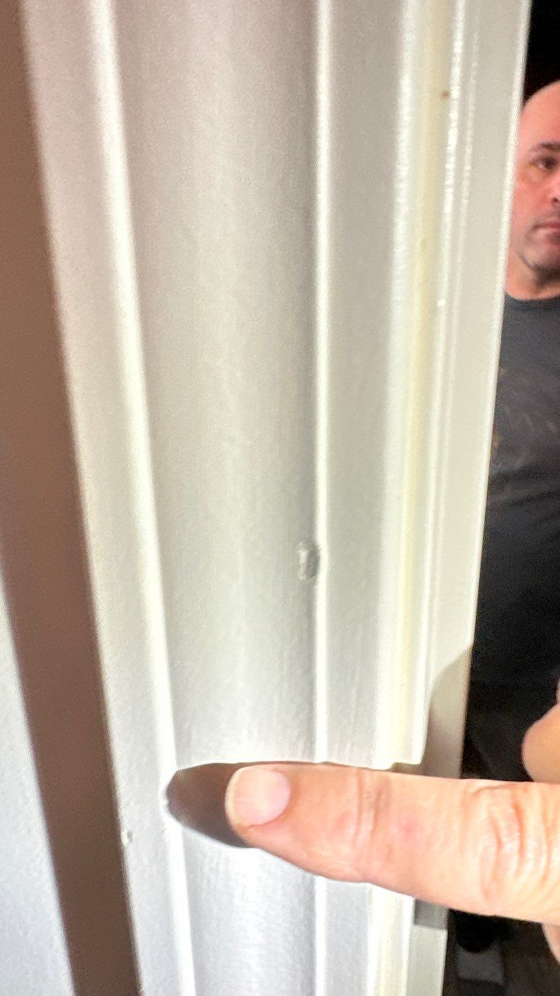 Fairfax Station: Multi-Trade Tree Damage Restoration by RM Banning, Inc.