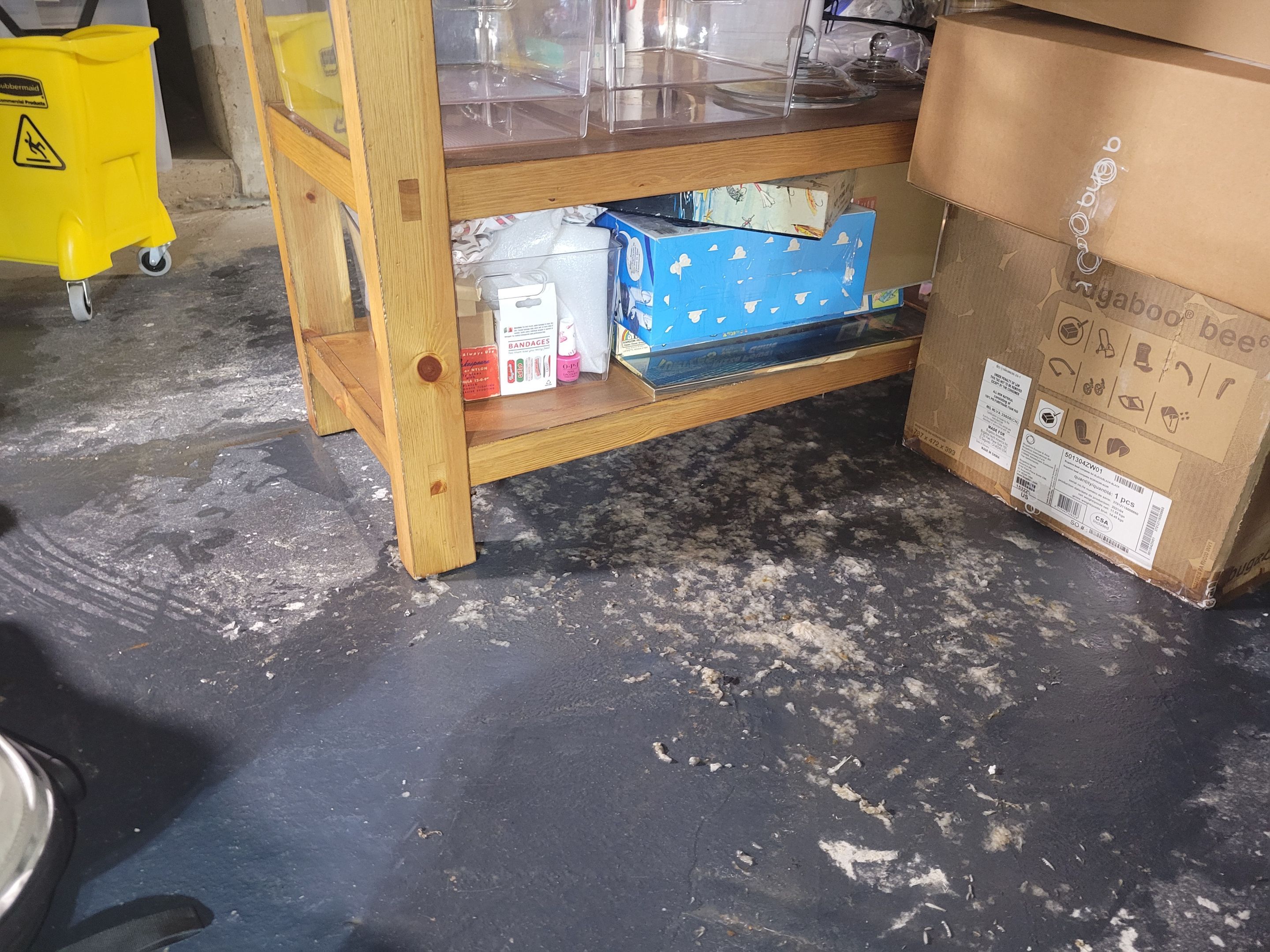 Crawlspace Sewage by Chicagoland Water Medics