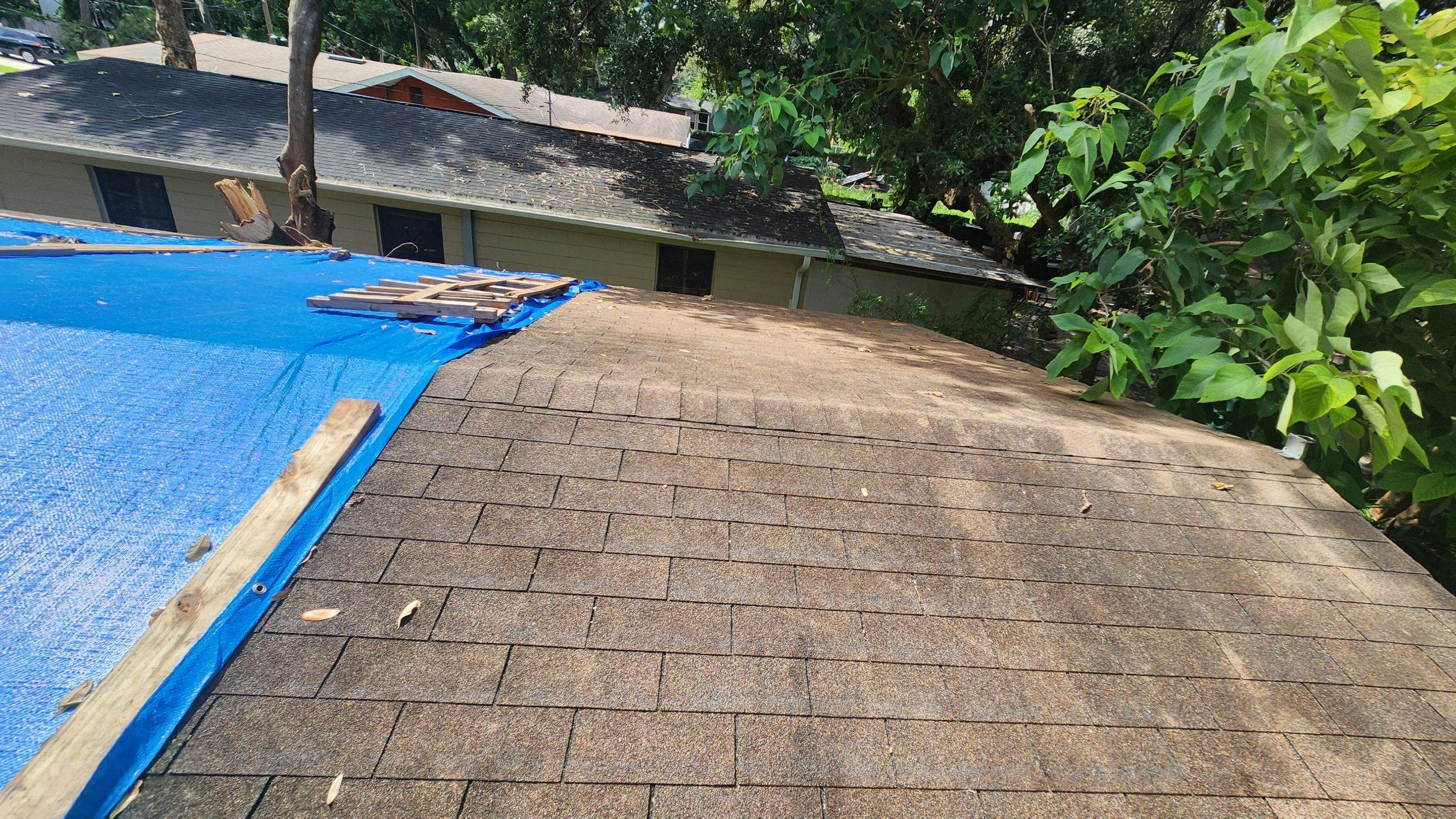 Tree Damage Claim in Orlando by FLAPA & KeyStone