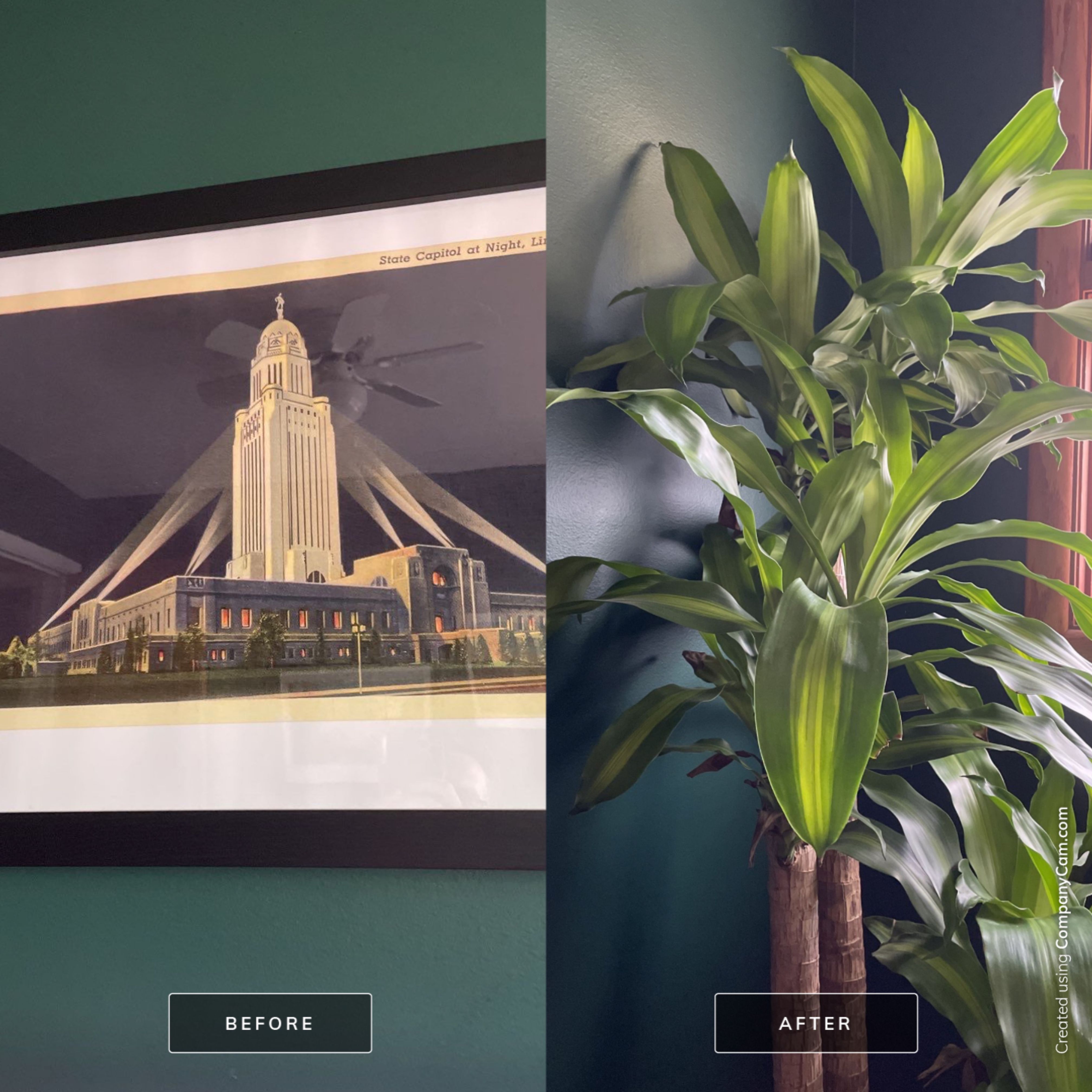 Apartment using sticks by CompanyCam
