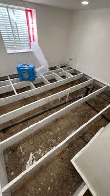 Mold Remediation